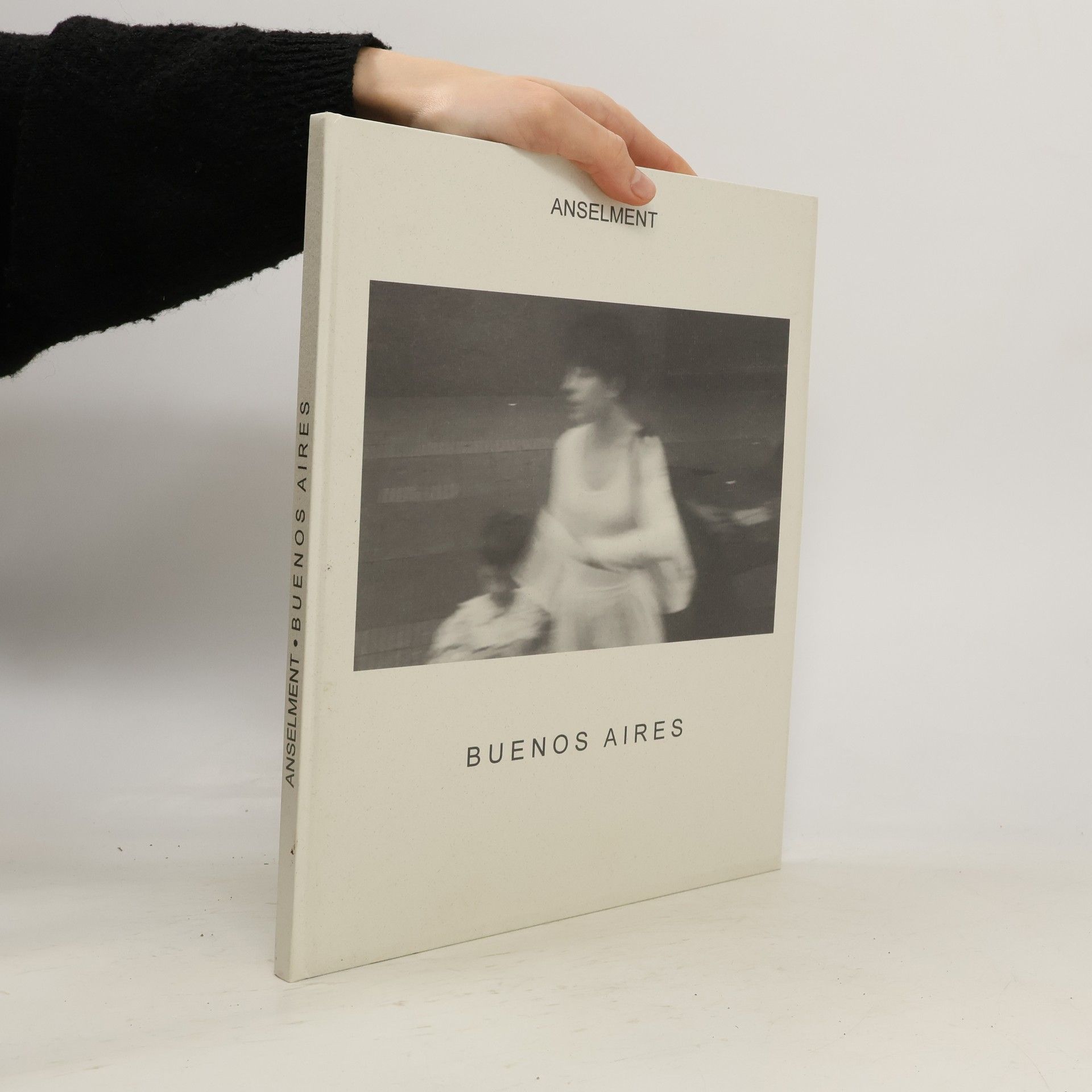 Monika Anselment Flüchtig - hier, jetzt