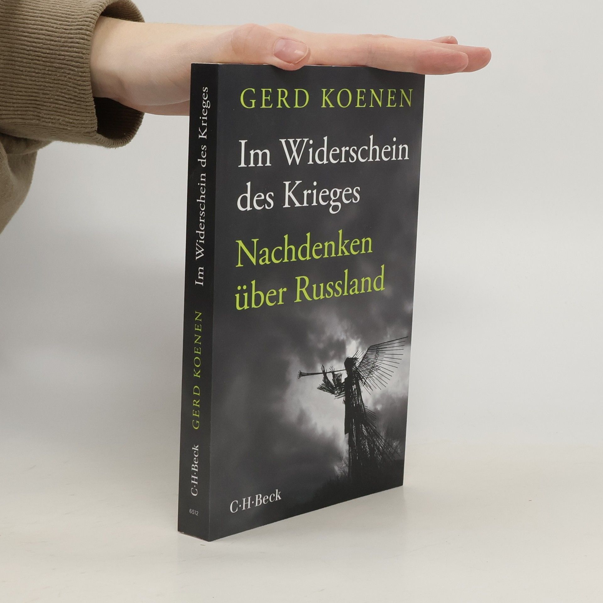 Gerd Koenen Im Widerschein des Krieges