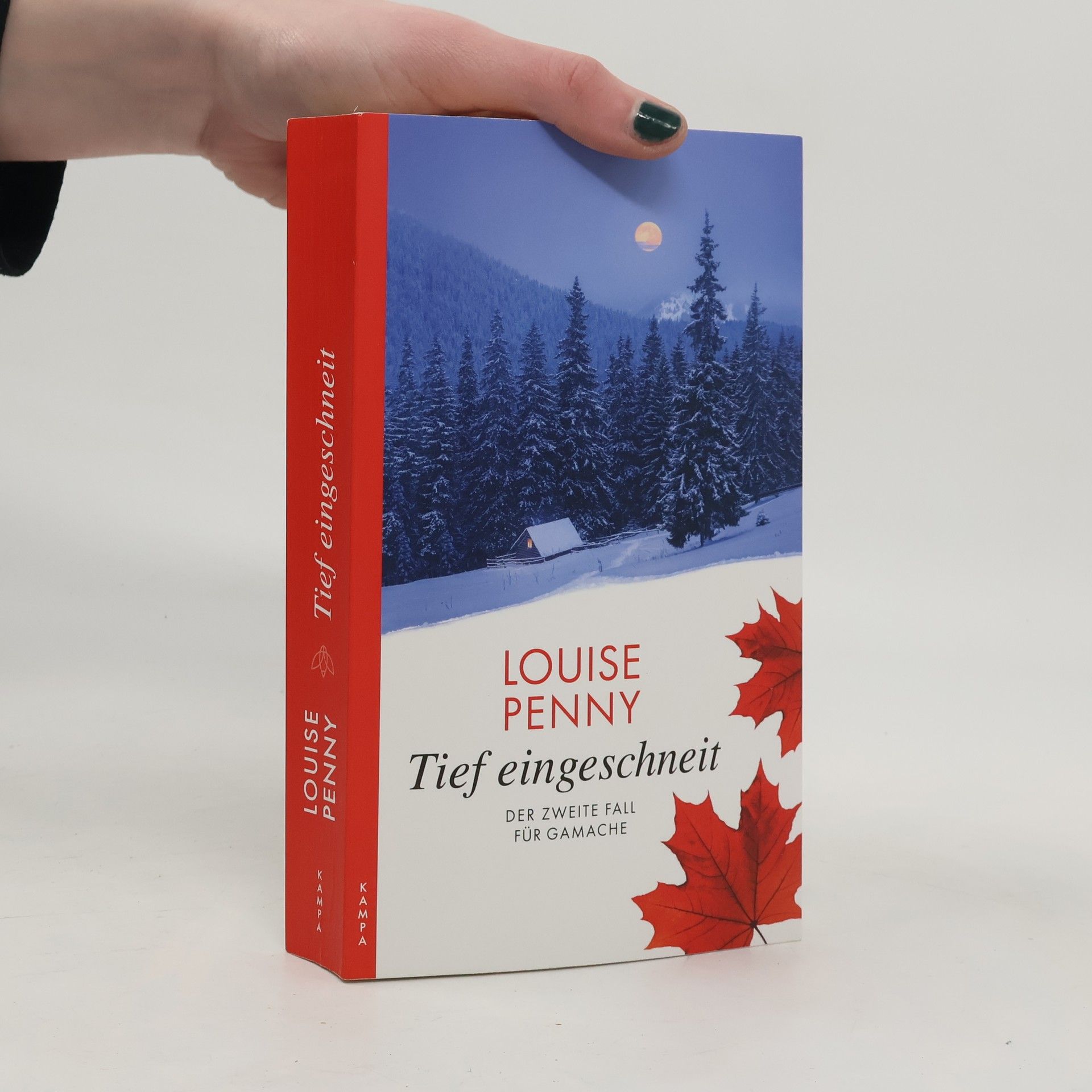 Louise Penny Tief eingeschneit