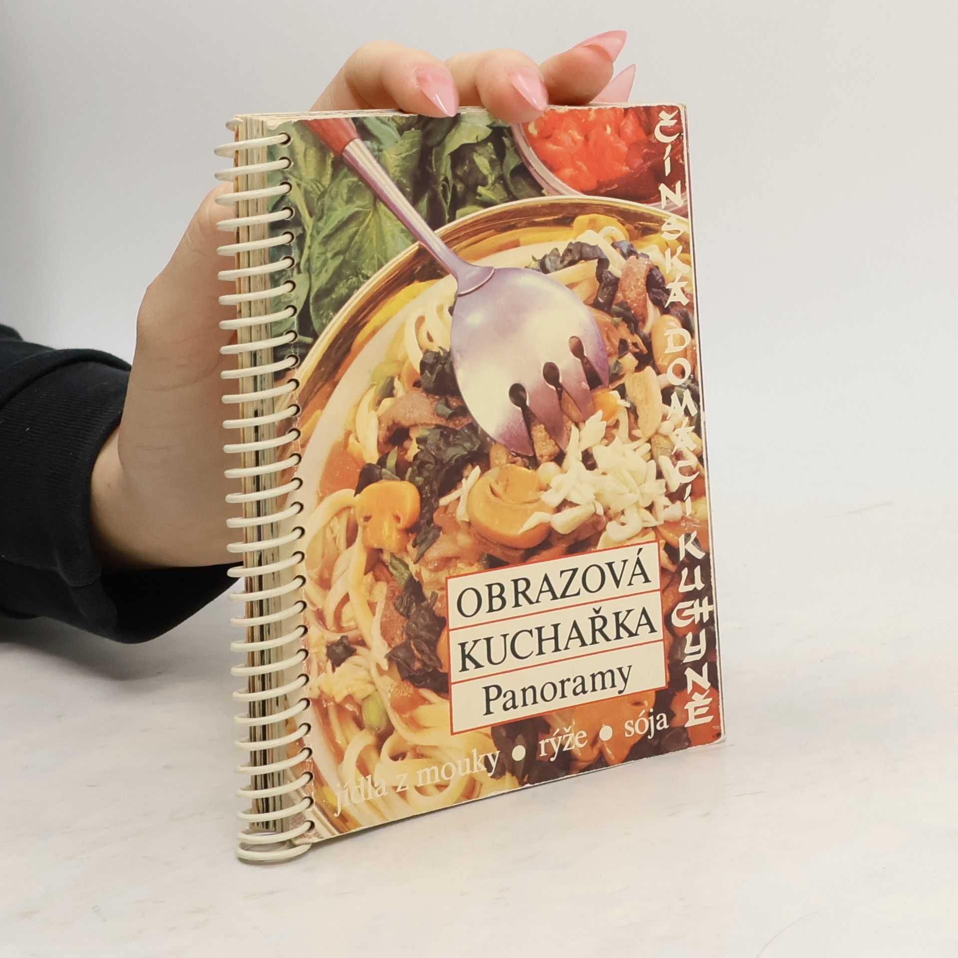 Obrazová kuchařka Panoramy. Čínská domácí kuchyně