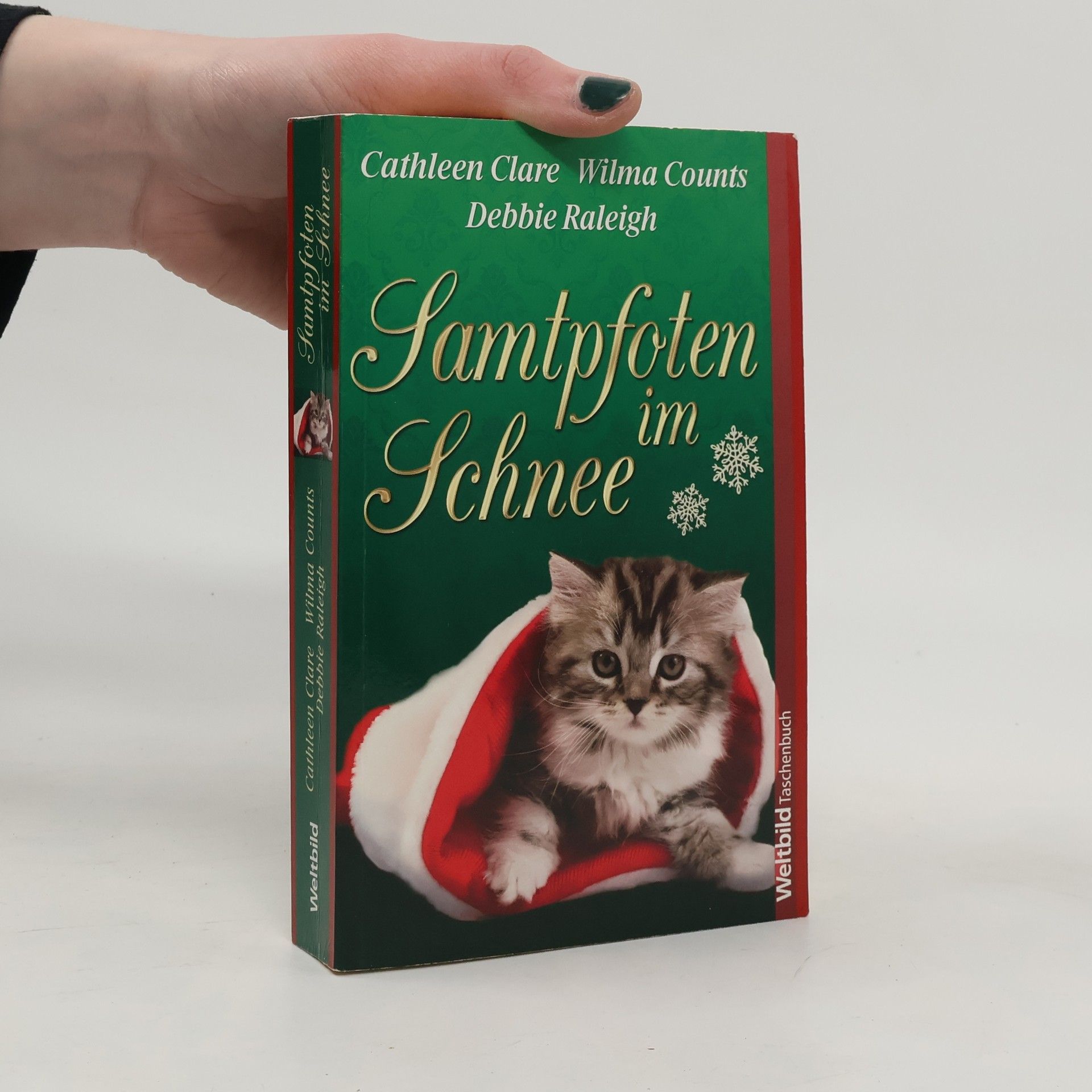 Cathleen Clare Samtpfoten im Schnee