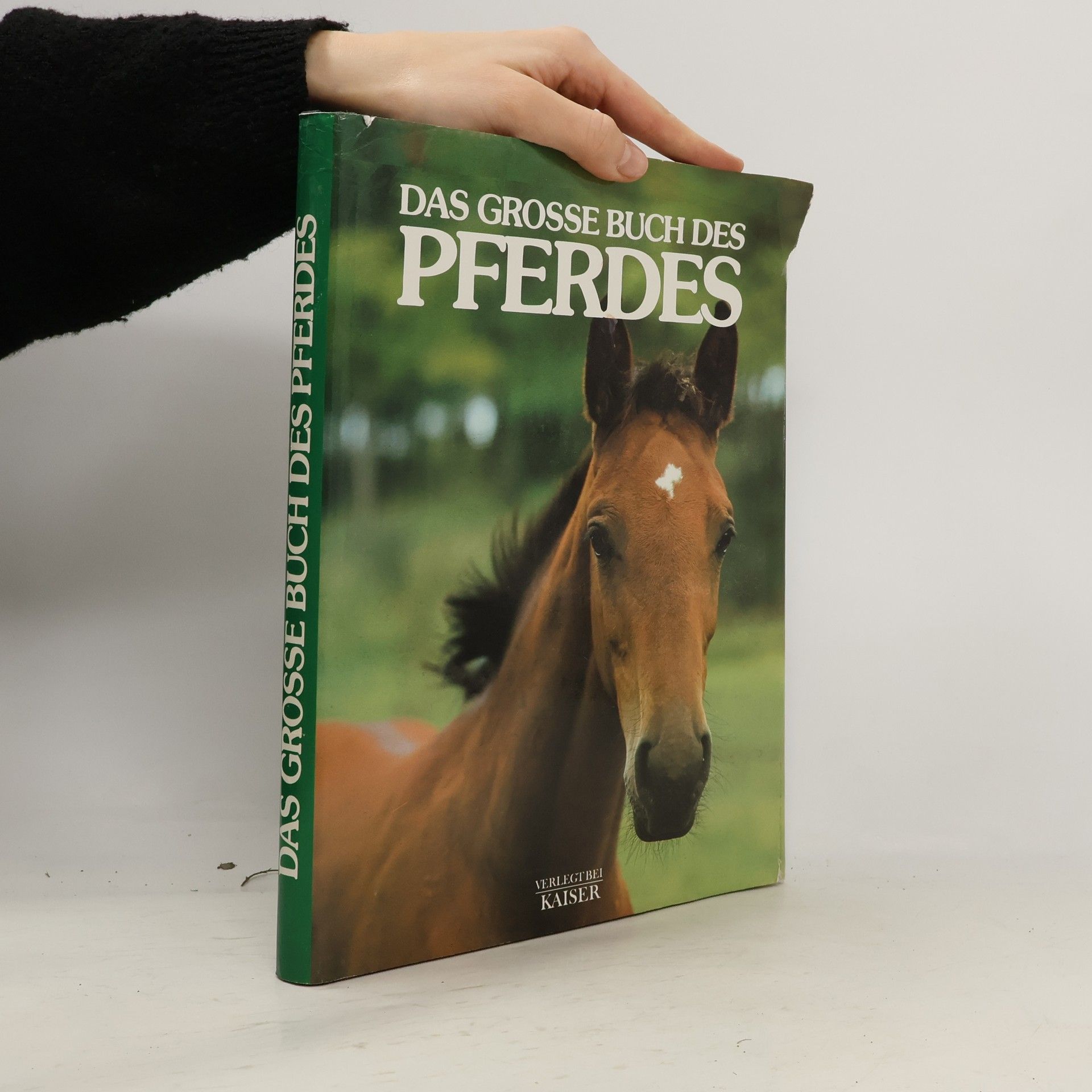 Das grosse Buch des Pferdes