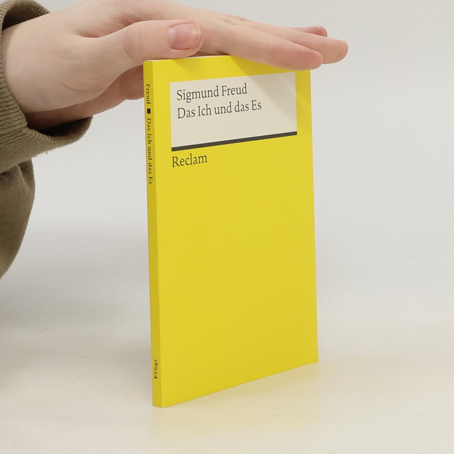 Sigmund Freud Das Ich und das Es