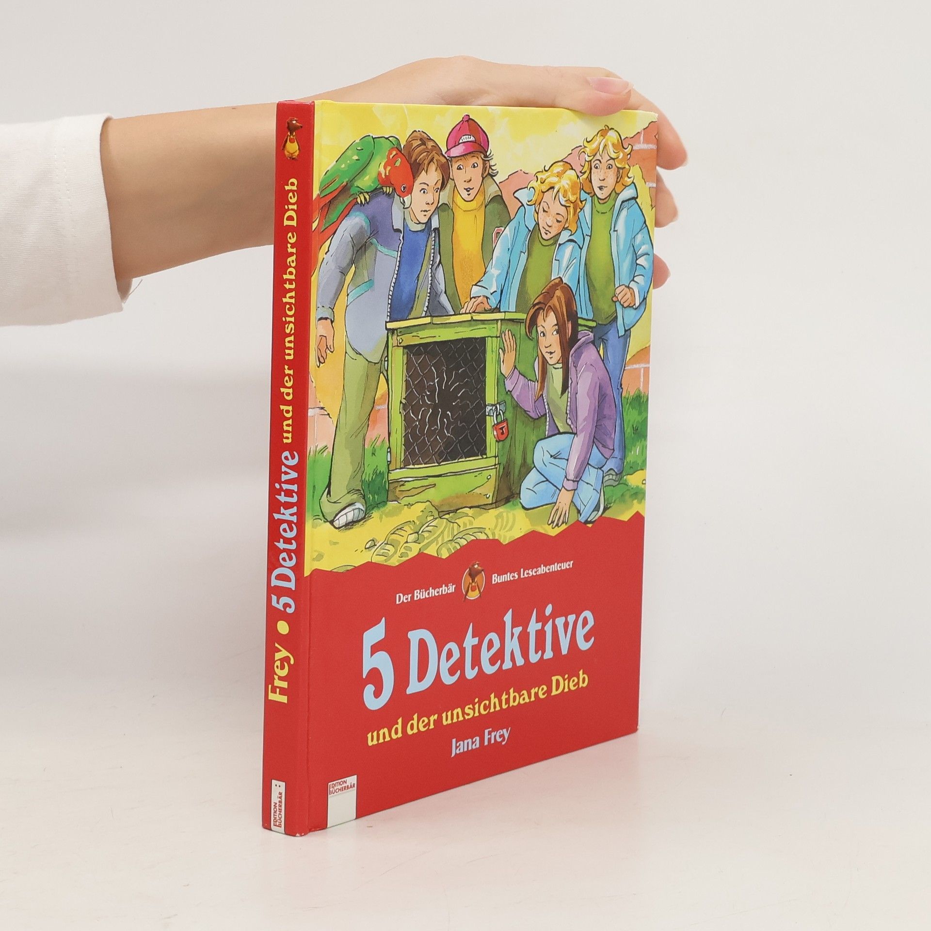 Jana Frey 5 Detektive und der unsichtbare Dieb