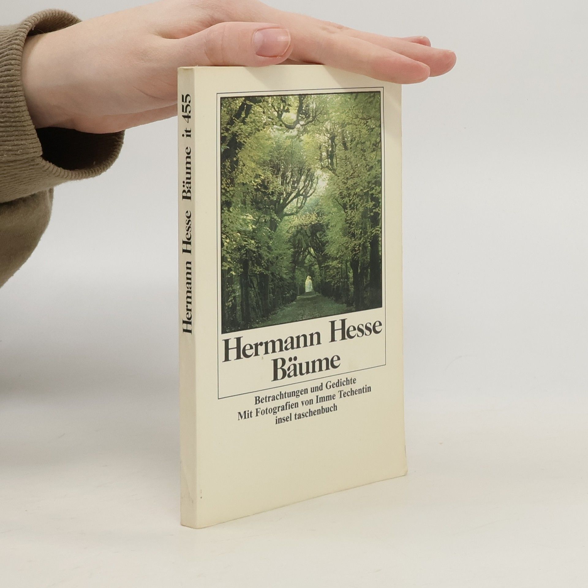 Hermann Hesse Bäume