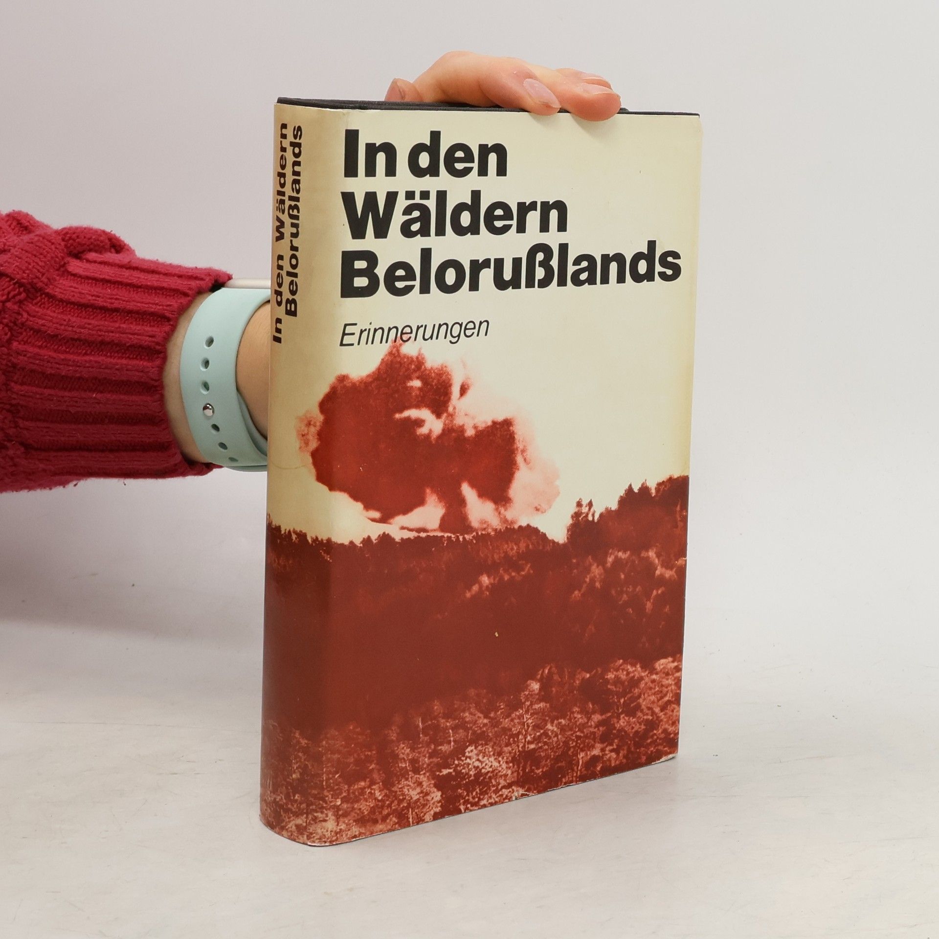 Collectif d'auteurs In den Wäldern Belorußlands