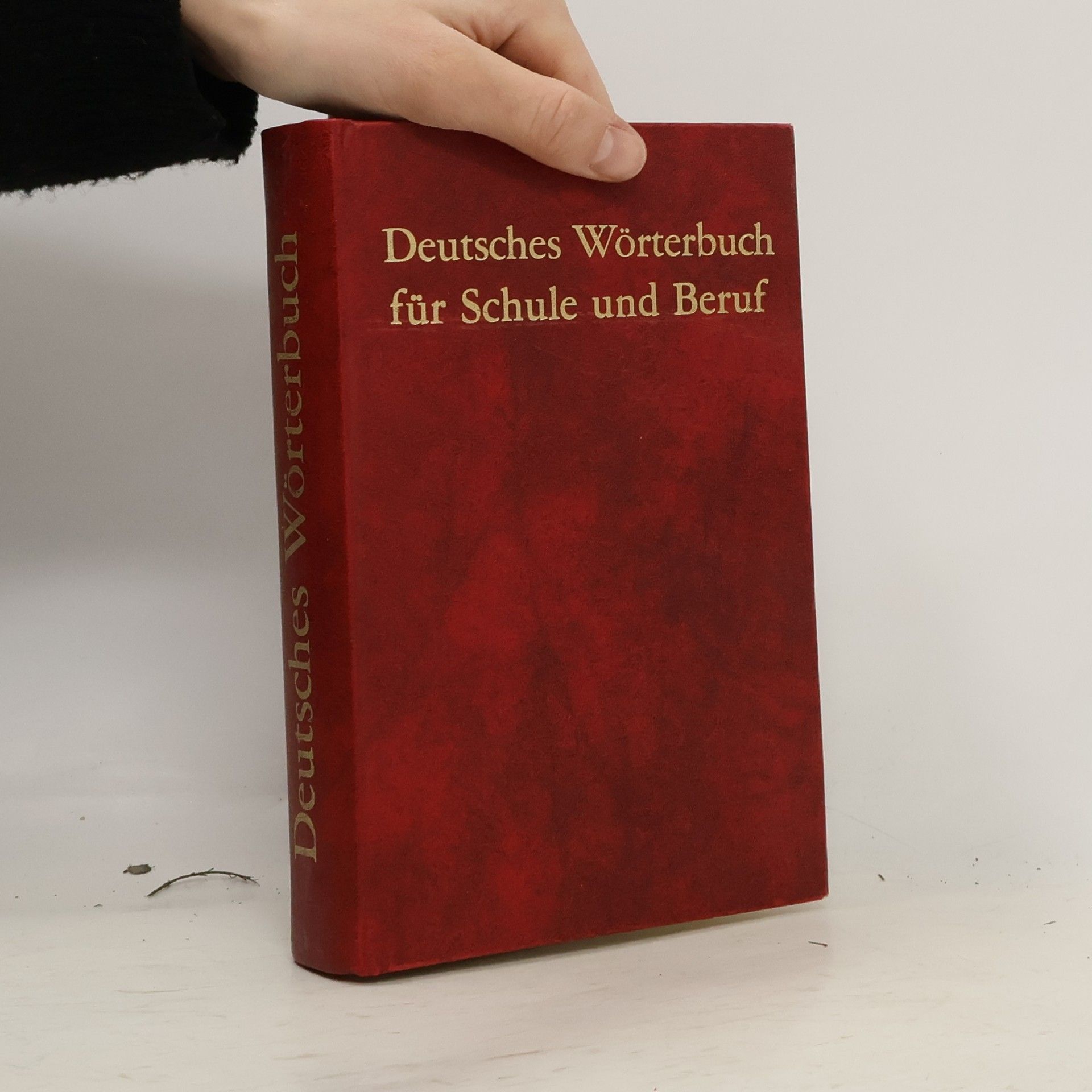 Deutsches Wörterbuch für Schule und Beruf