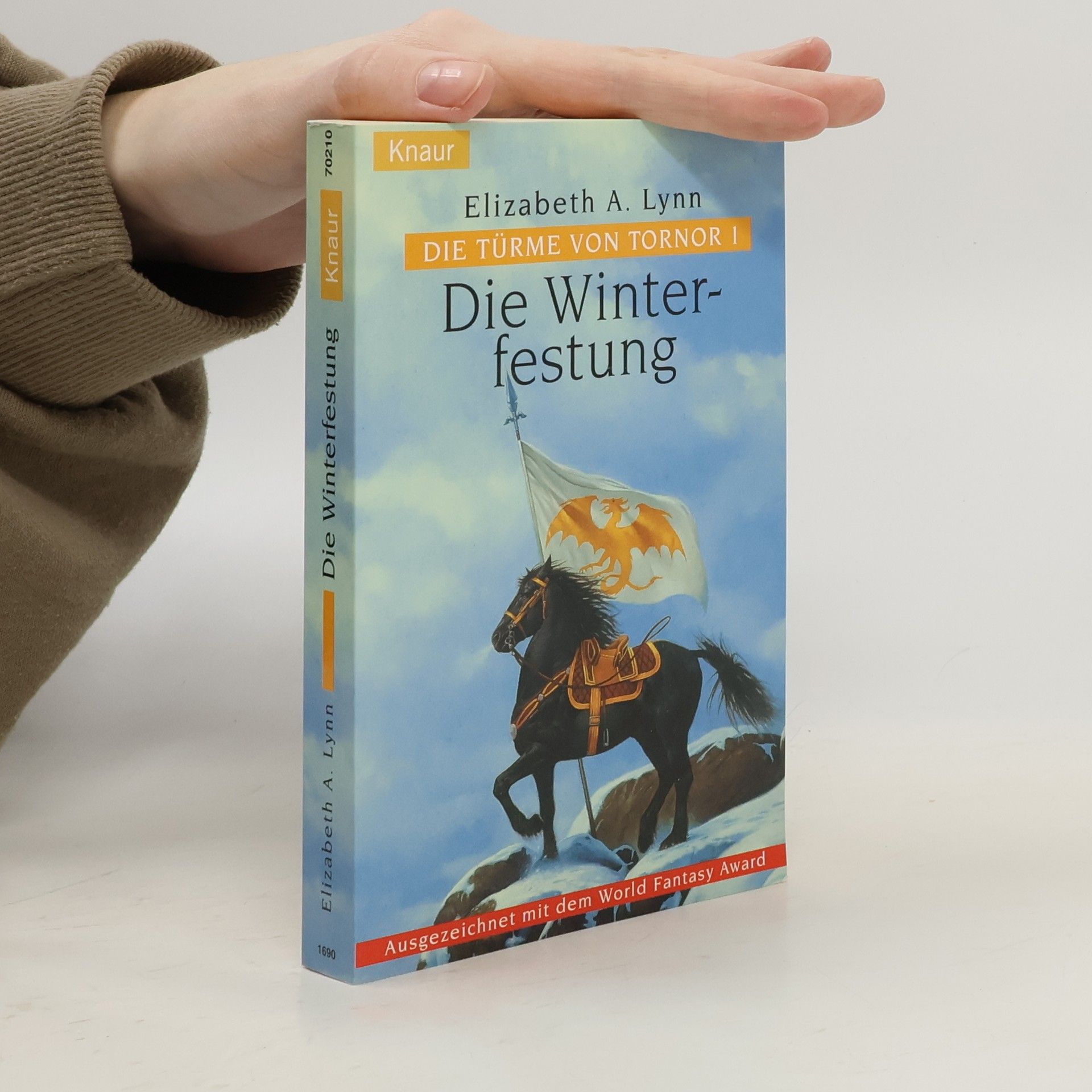 Die Türme von Tornor