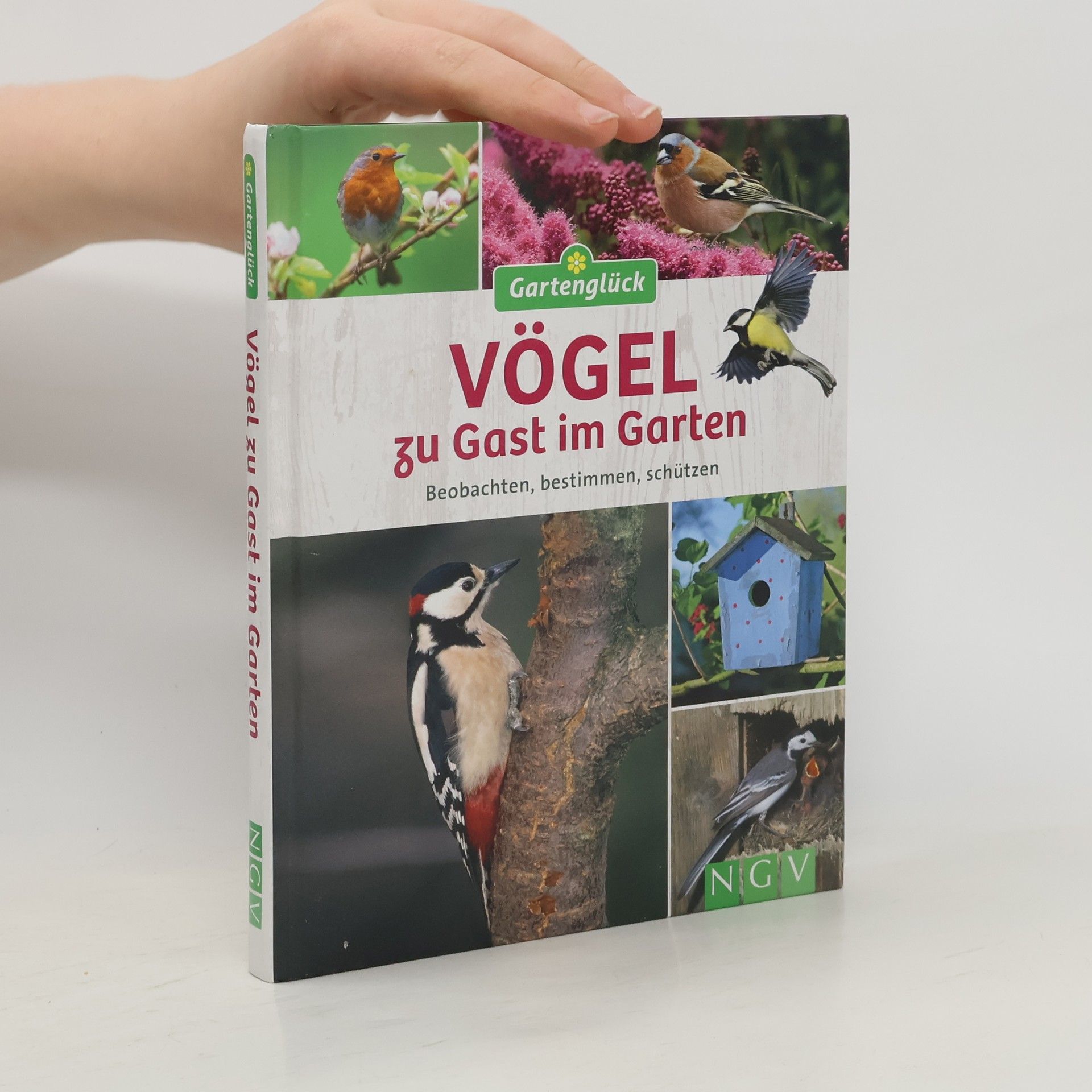 Autorenkollektiv Vögel zu Gast im Garten