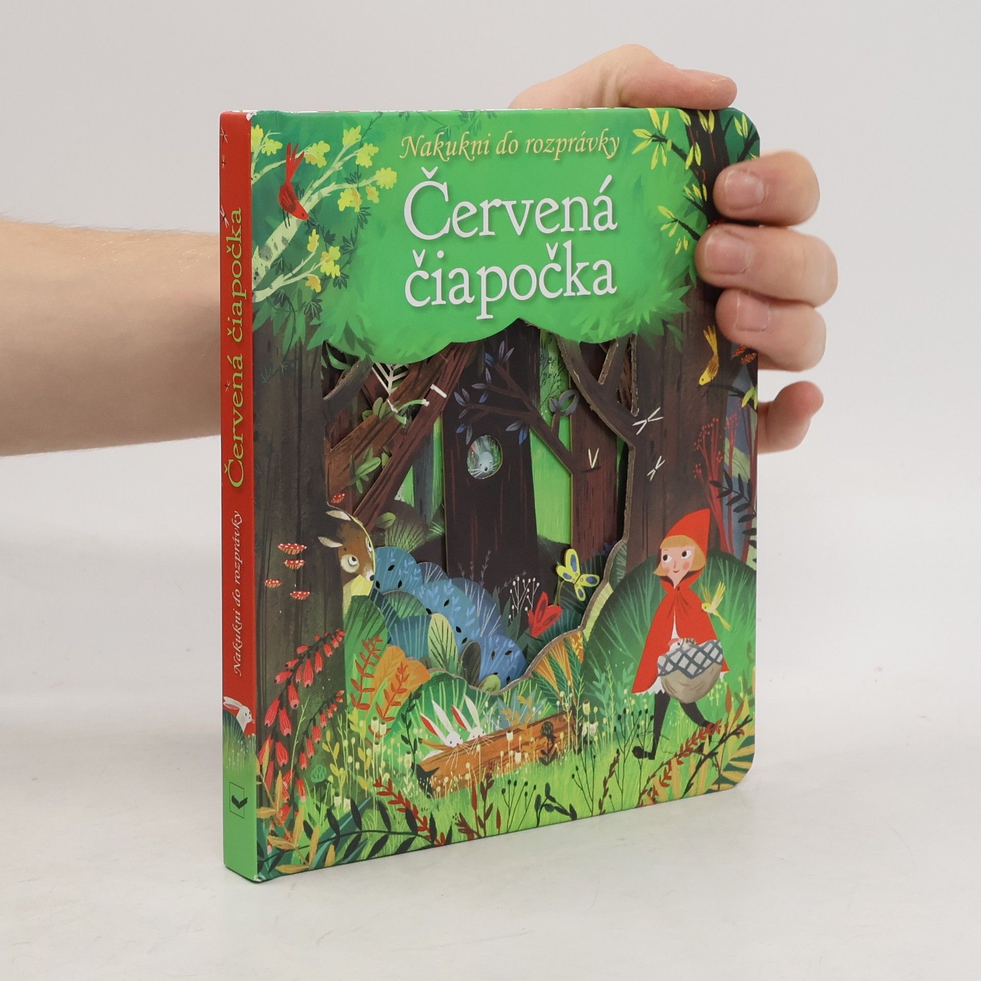 AA.VV. Červená čiapočka