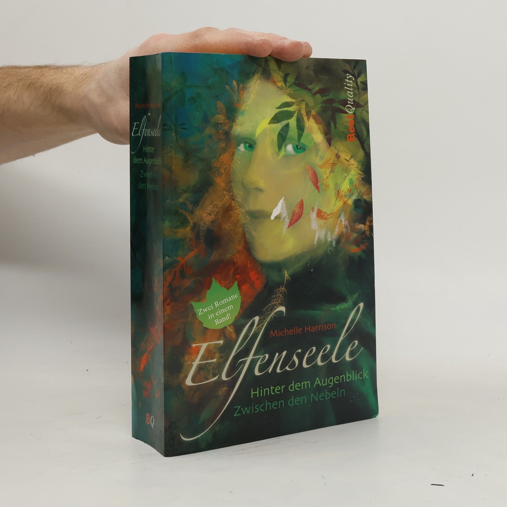 Michelle Harrison Elfenseele. Hinter dem Augenblick. Zwischen den Nebeln