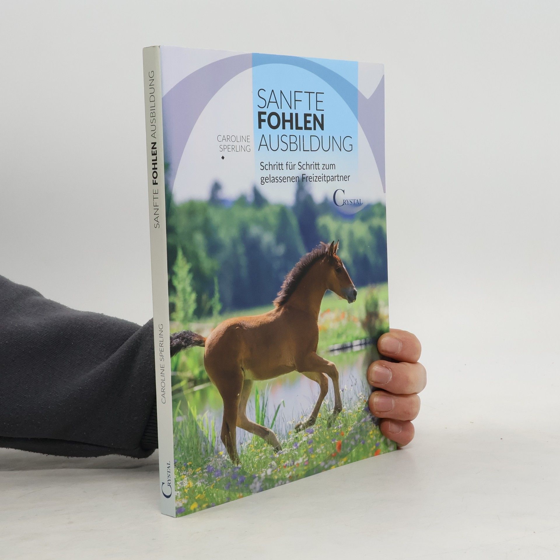 Sanfte Fohlenerziehung