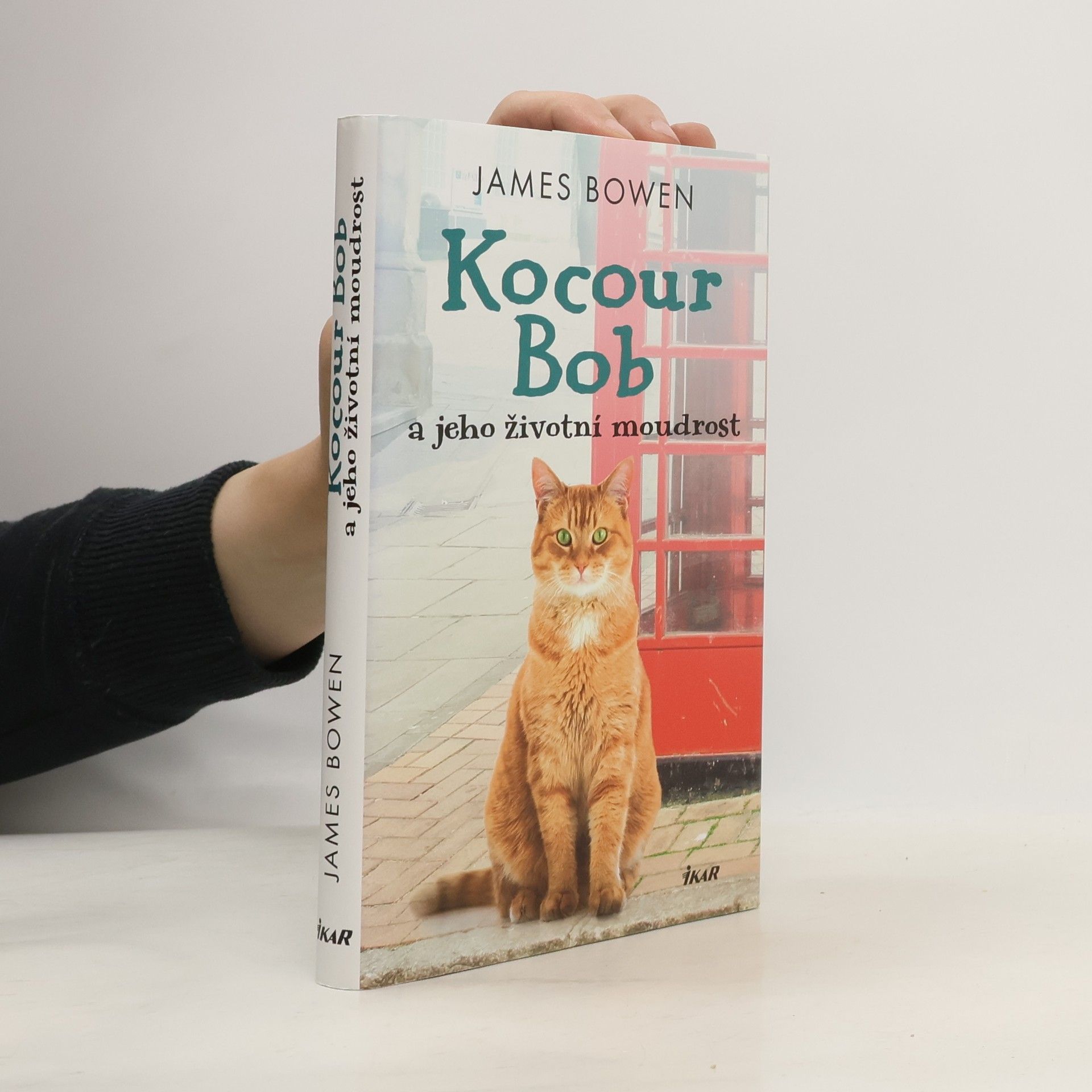 James Bowen Kocour Bob a jeho životní moudrost