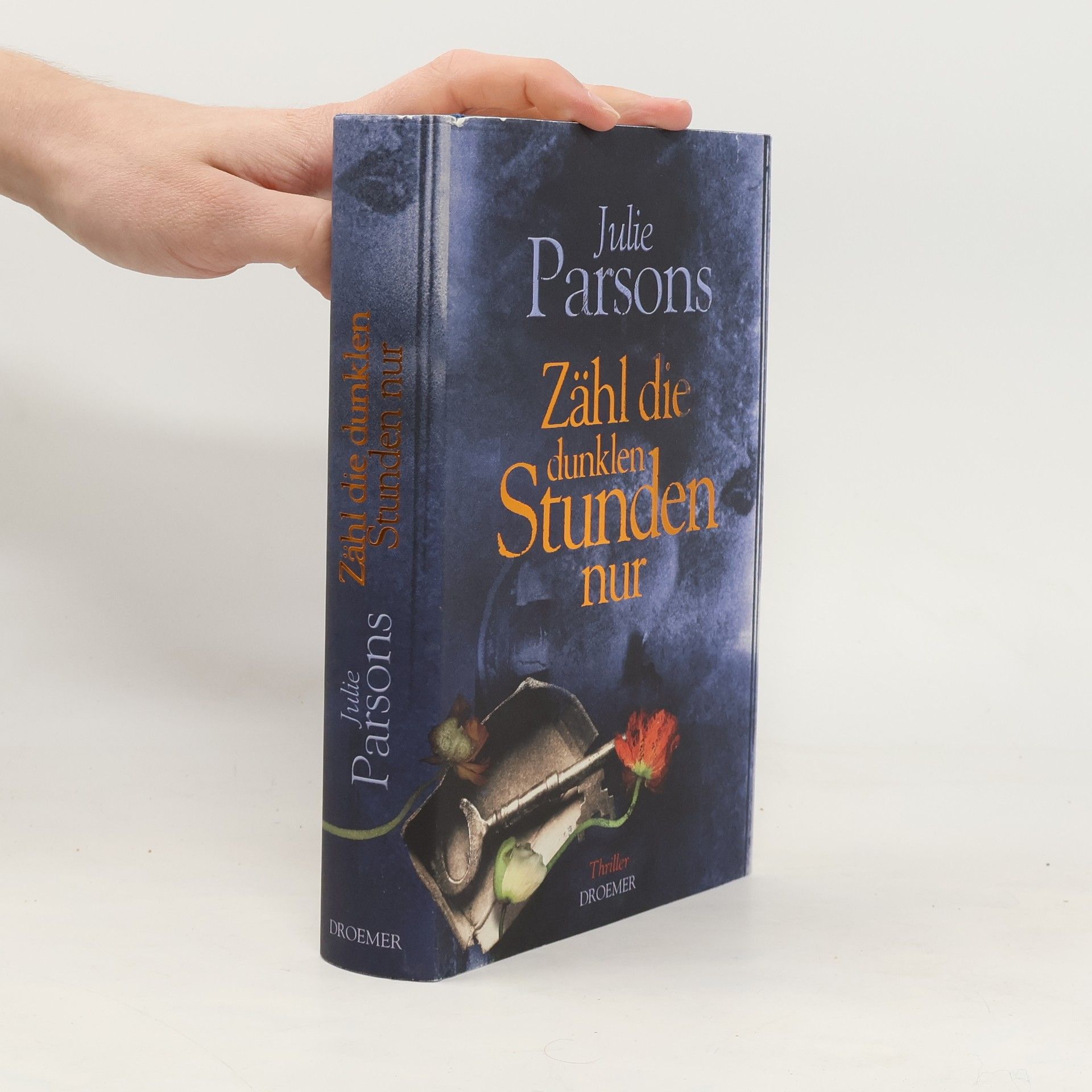 Julie Parsons Zähl die dunklen Stunden nur