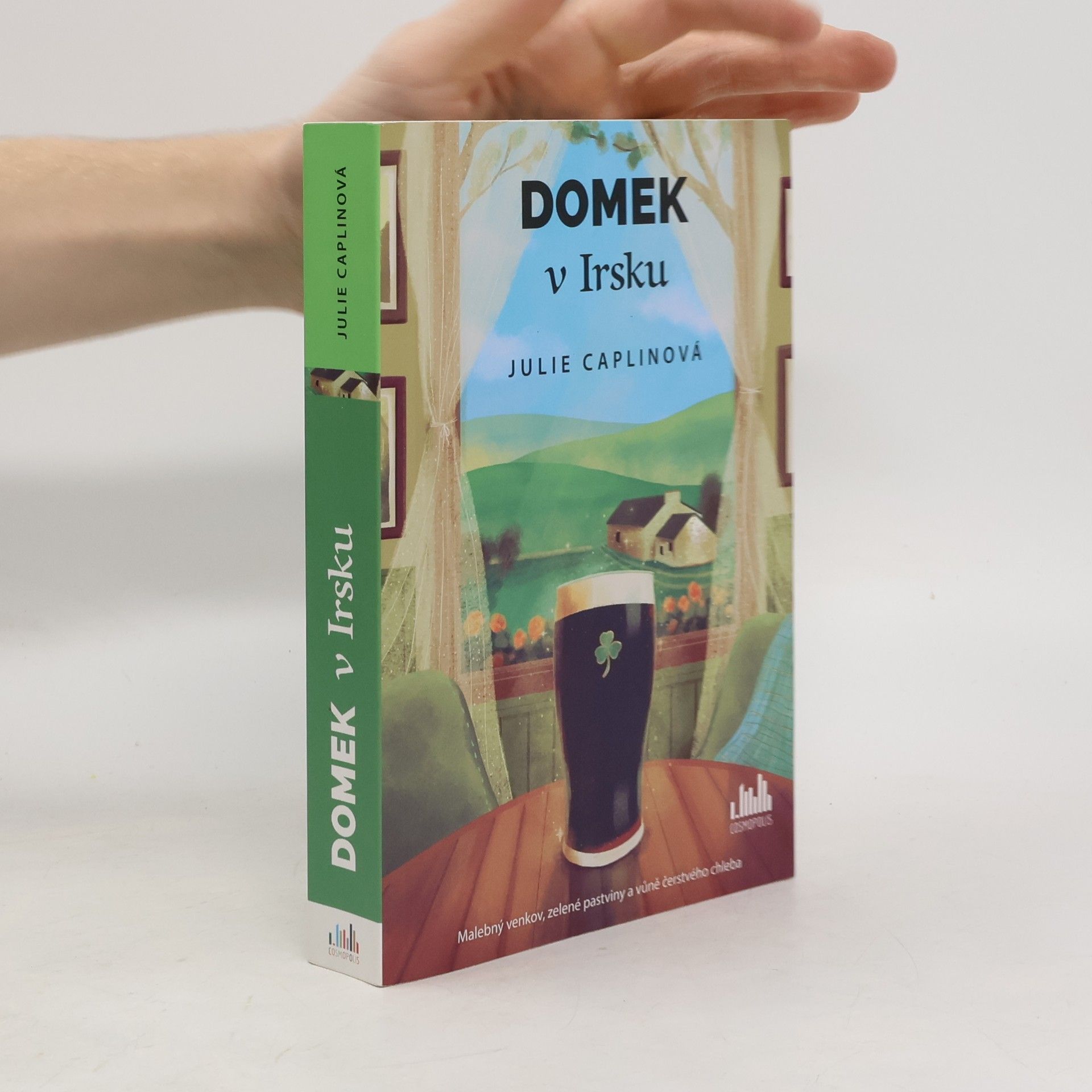 Domek v Irsku