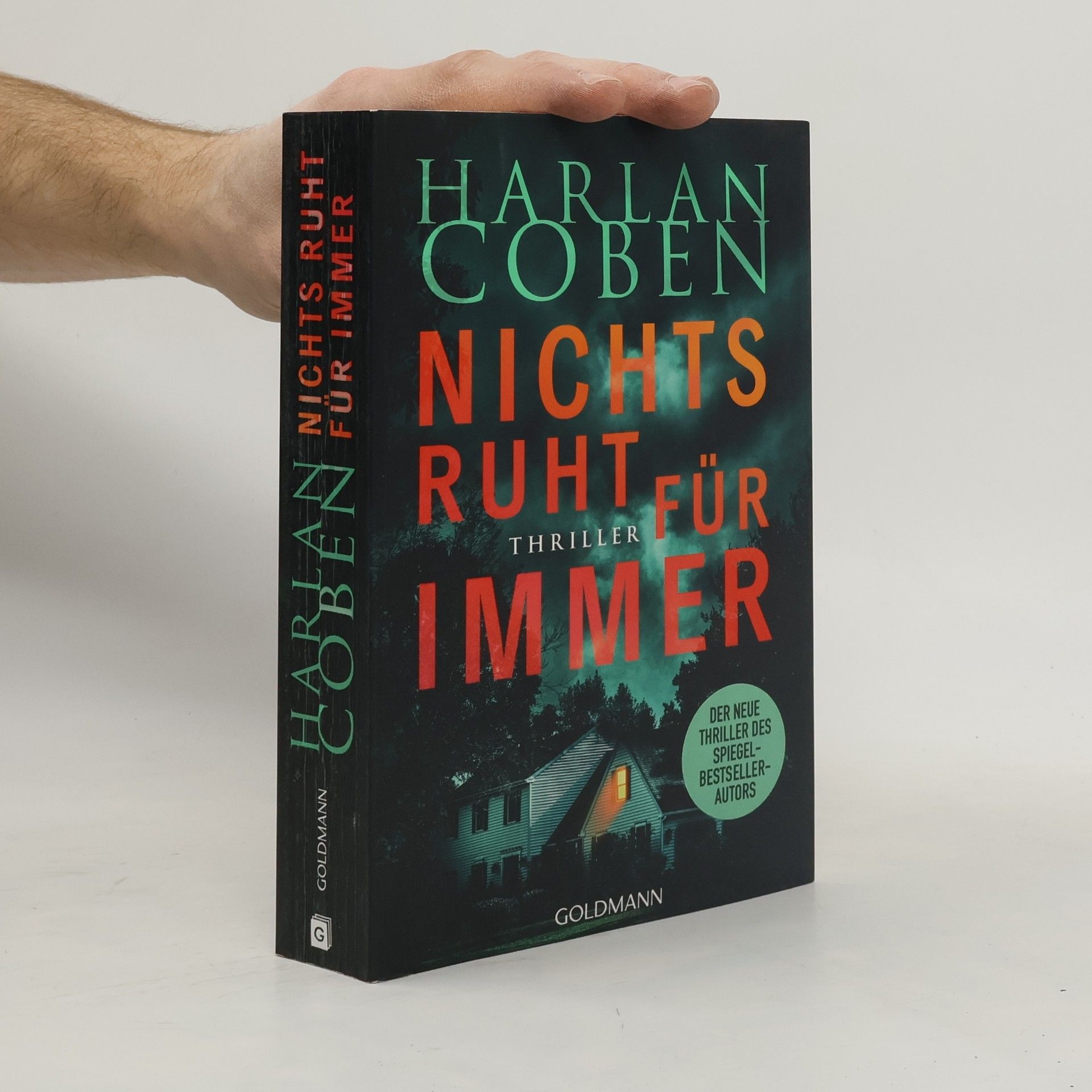 Nichts ruht für immer. Thriller