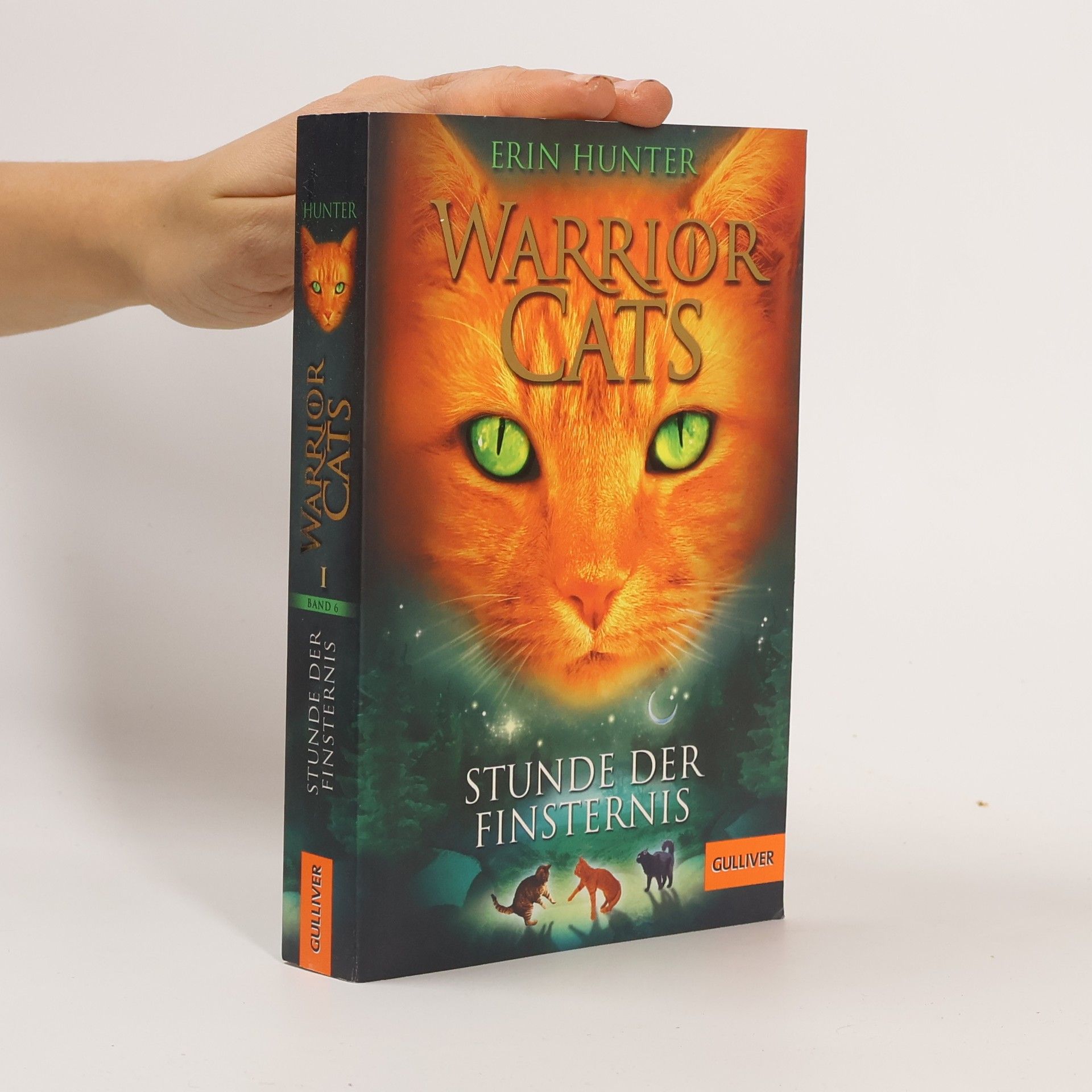 Stunde der Finsternis