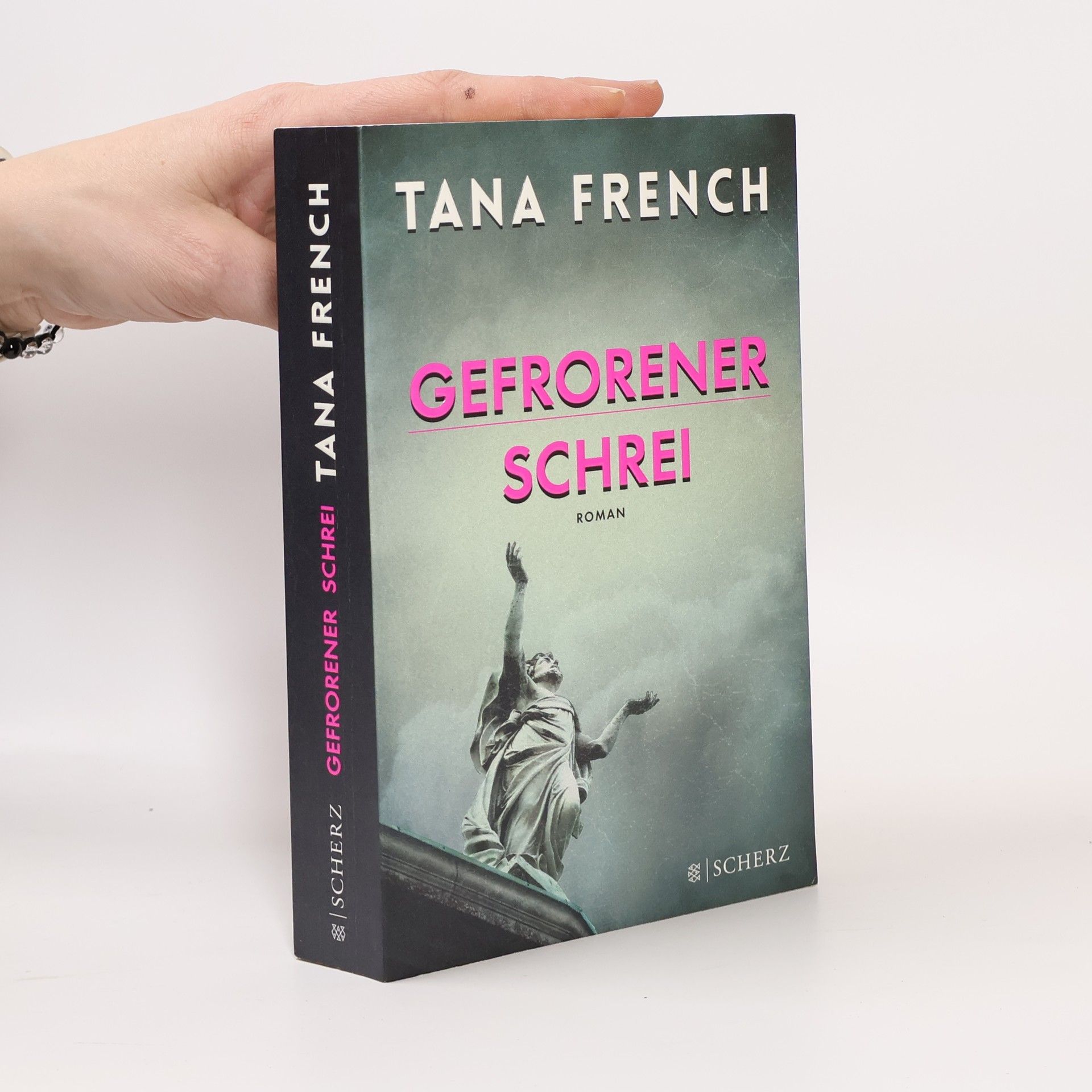 Tana French Gefrorener Schrei