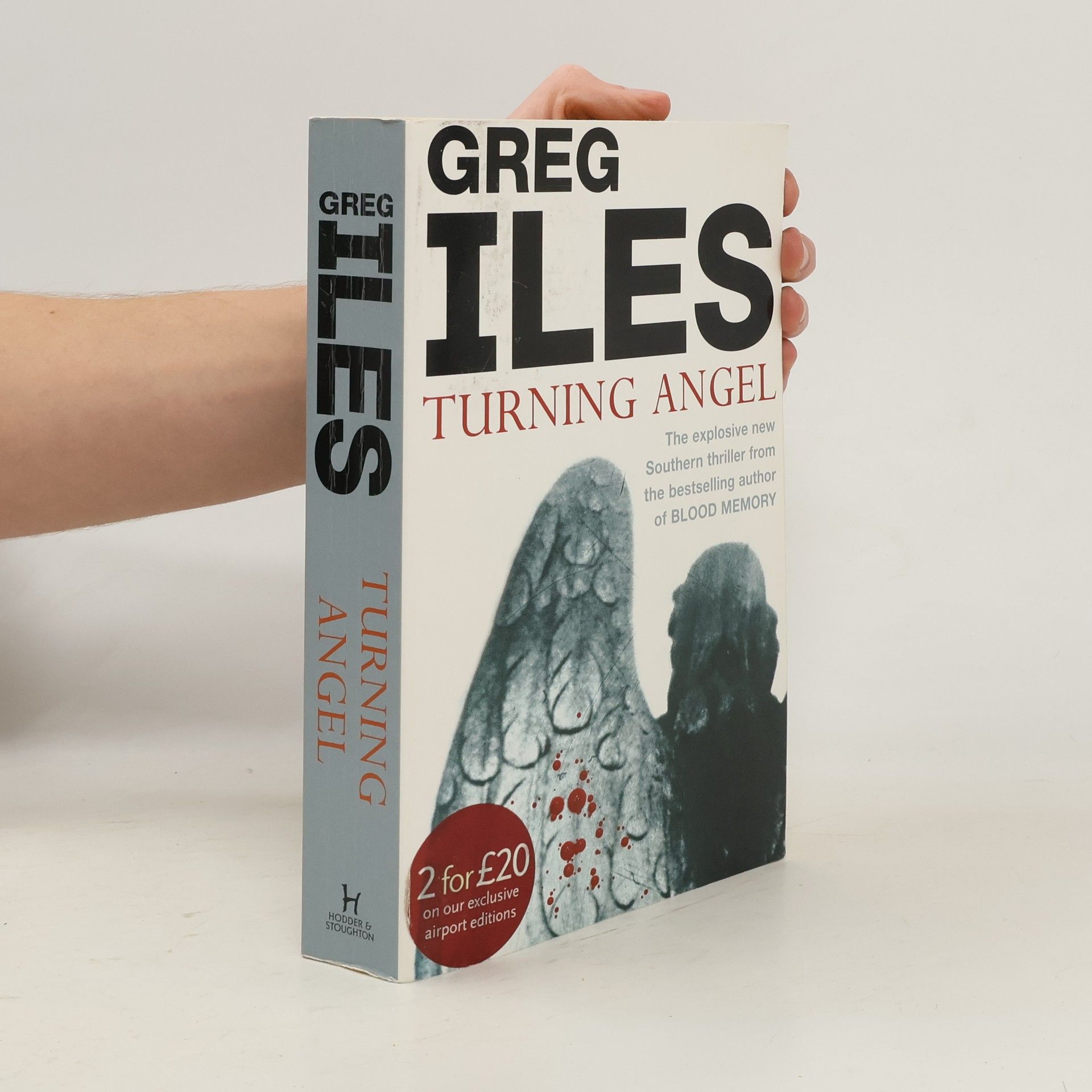 Greg Iles Turning Angel