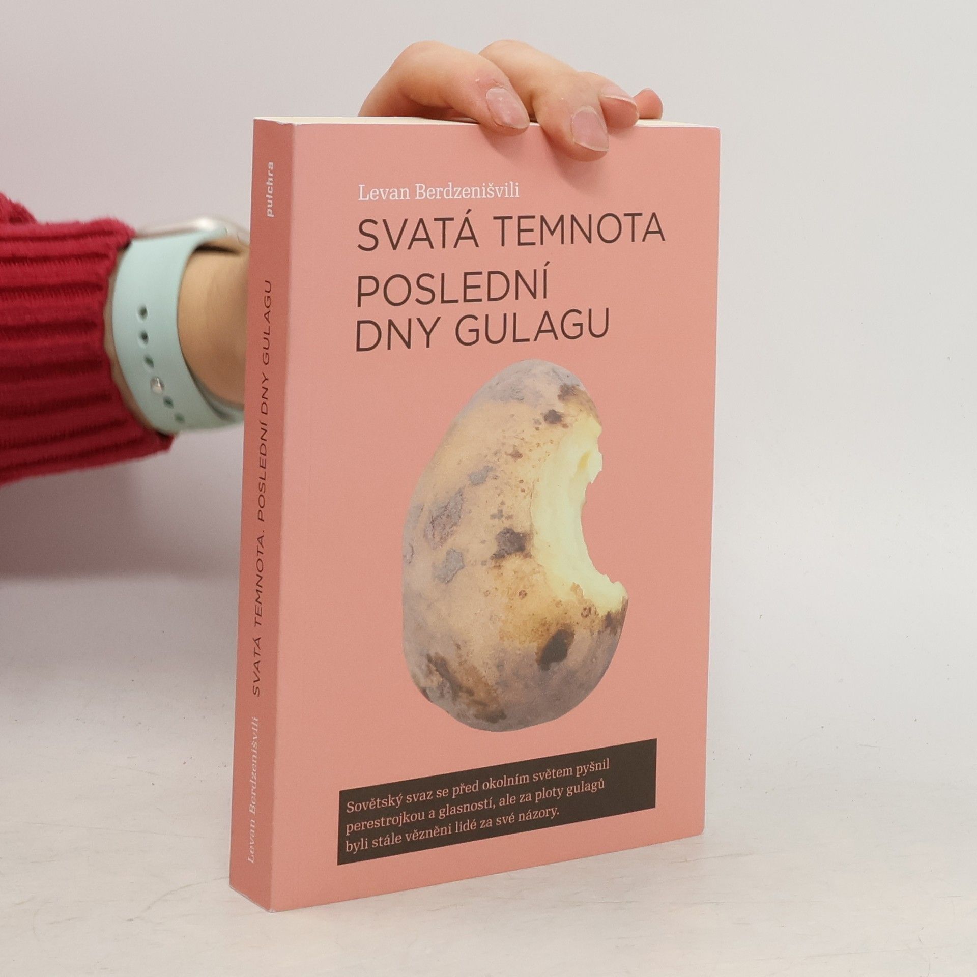 Levan Berdzenišvili Svatá temnota : poslední dny gulagu