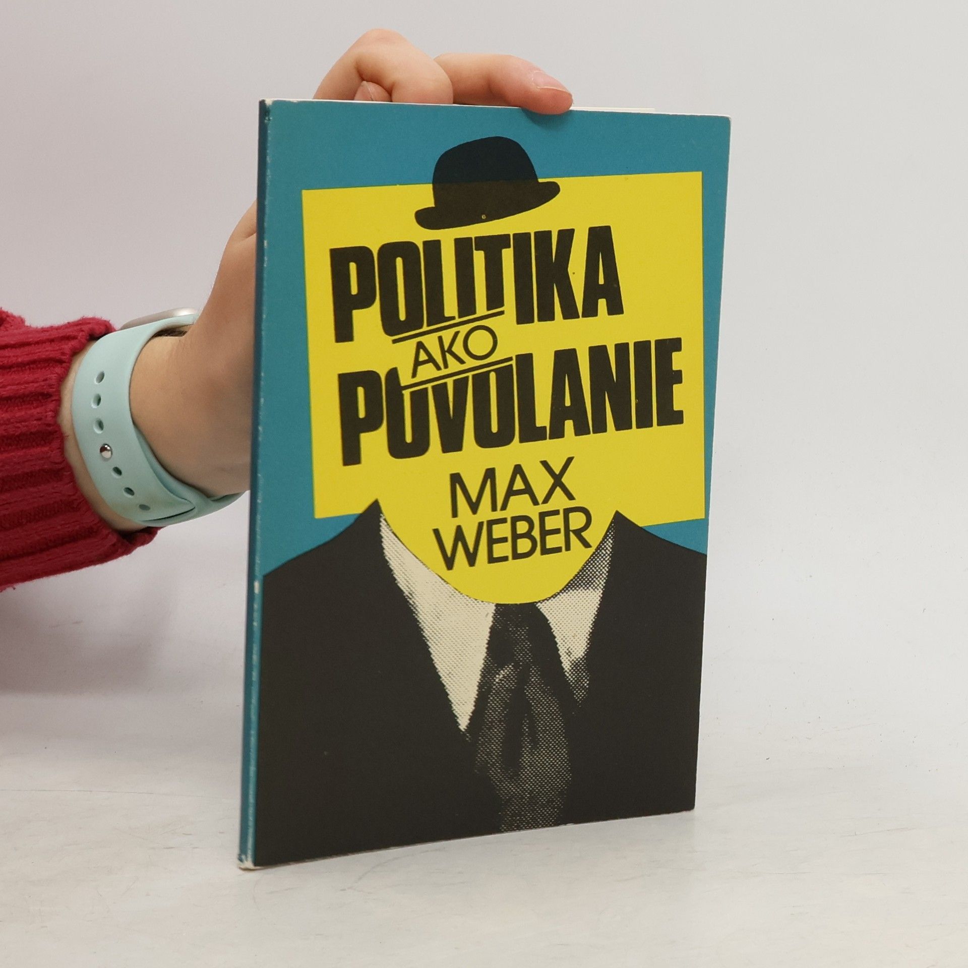 Politika ako povolanie