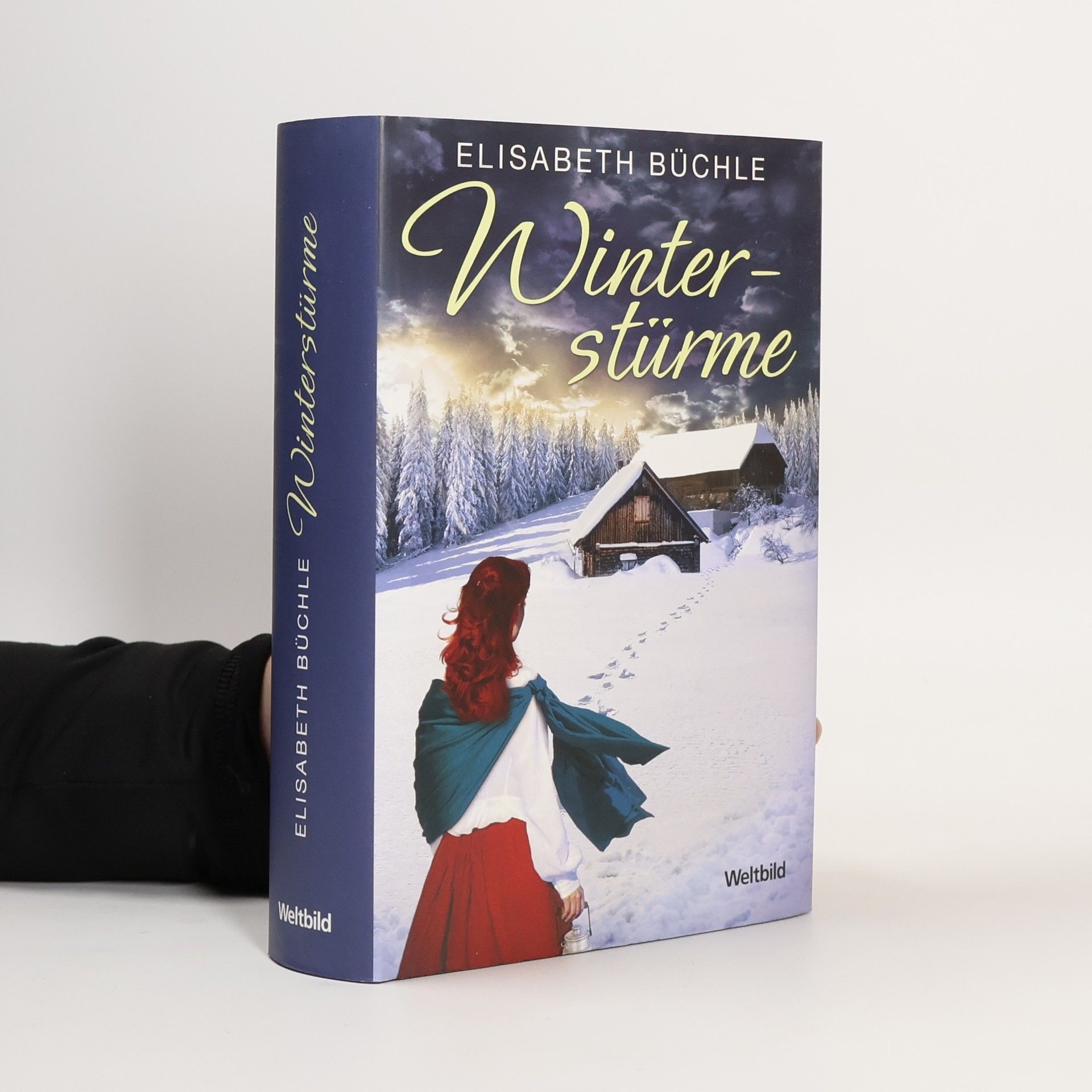 Elisabeth Büchle Winterstürme