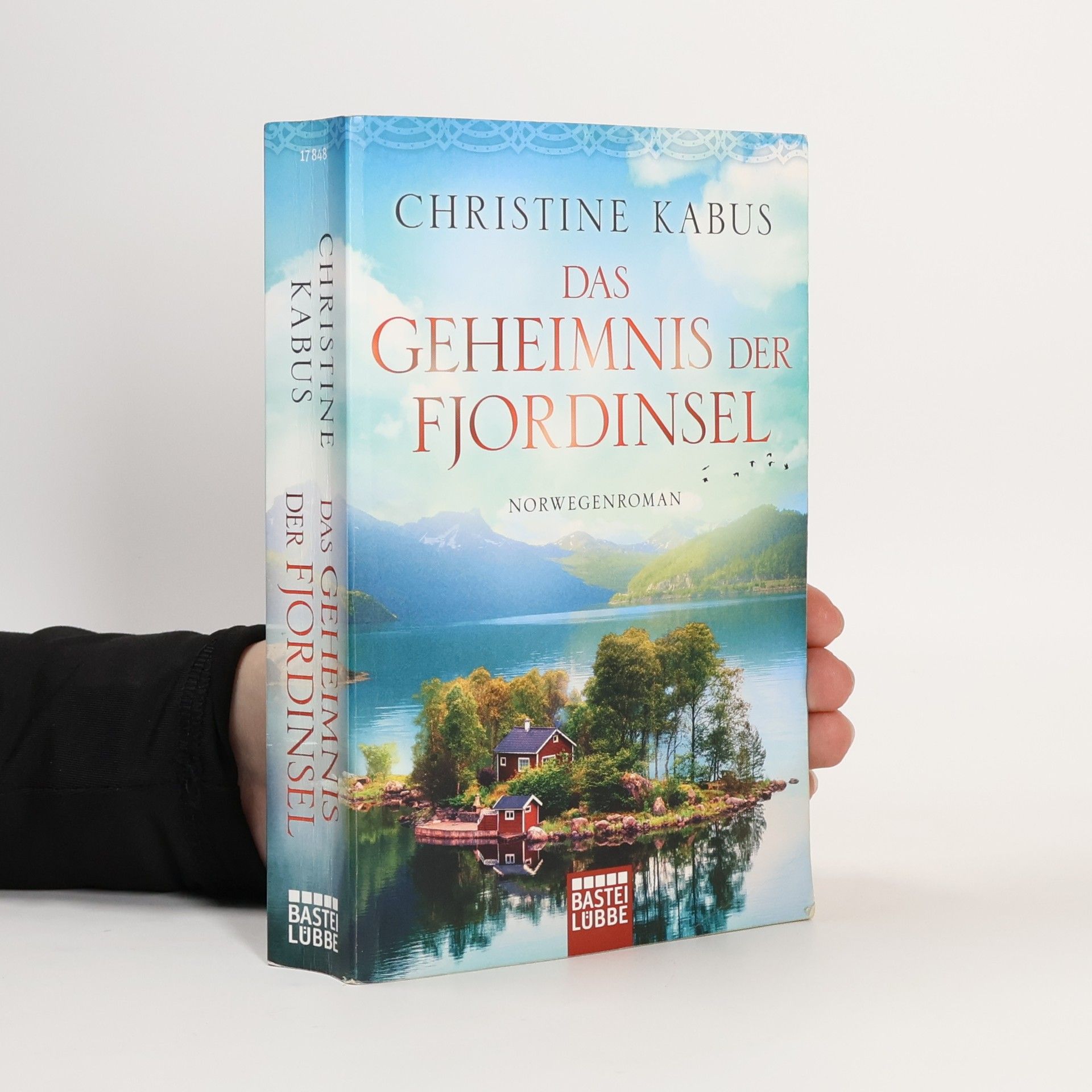 Christine Kabus Das Geheimnis der Fjordinsel