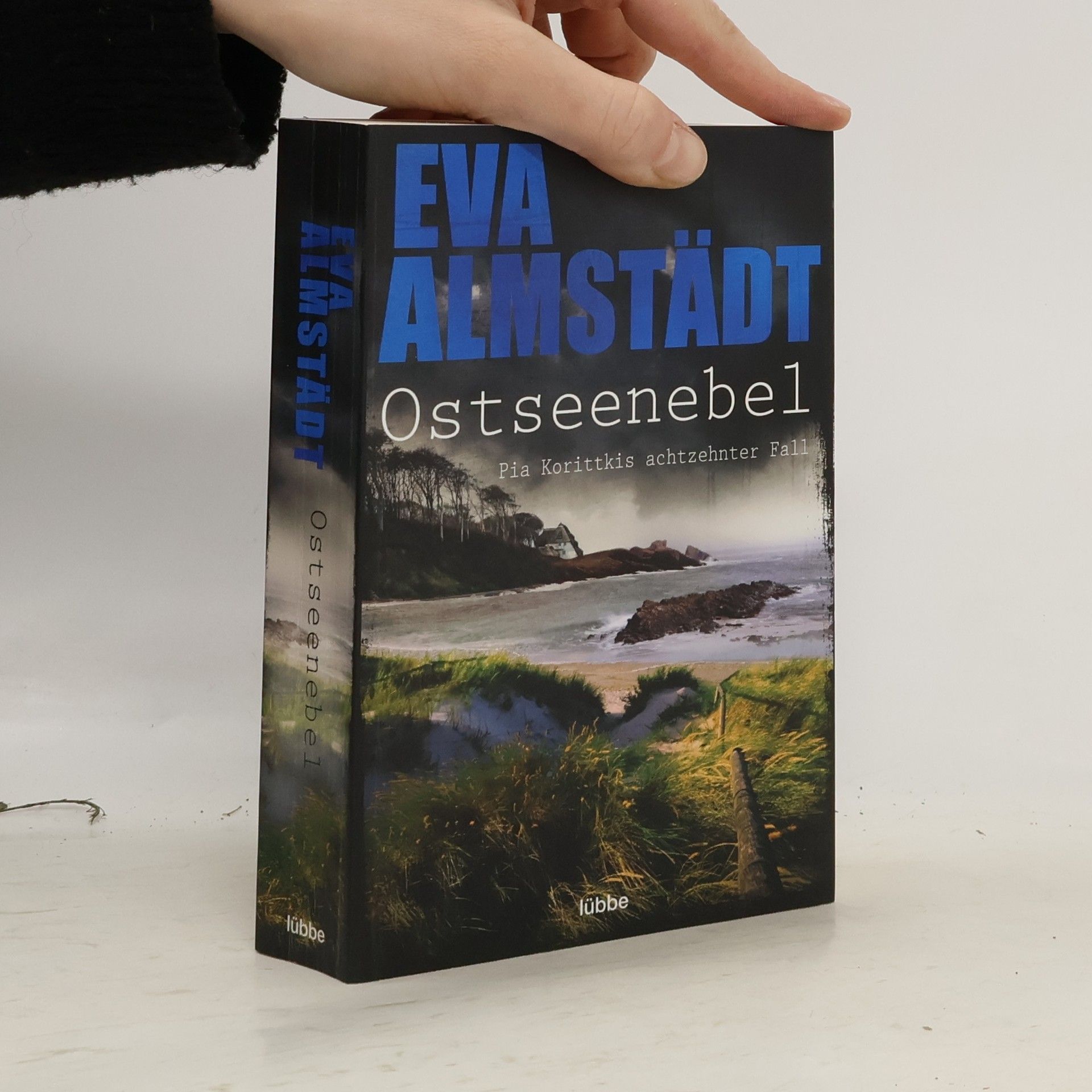 Eva Almstadt Ostseenebel