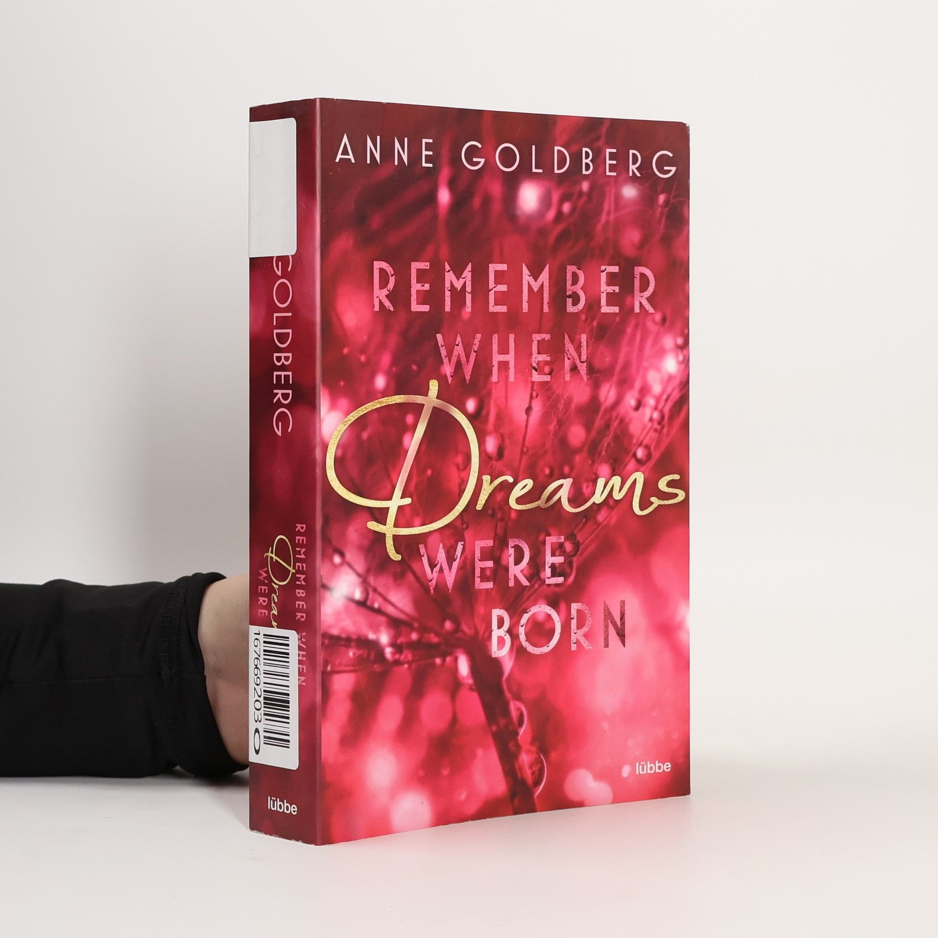 Anne Goldberg Remember when Dreams were born