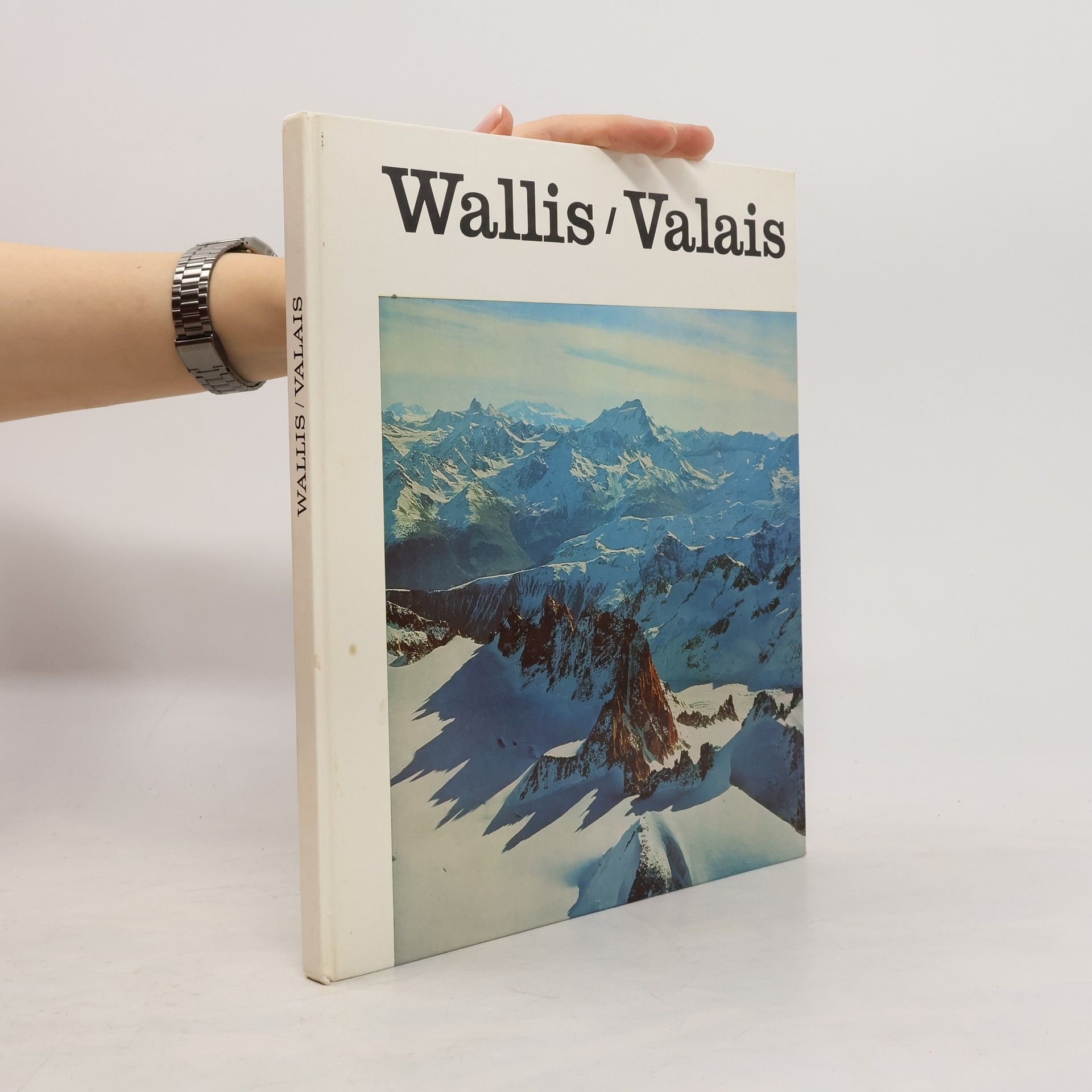 Autorenkollektiv Wallis. Valais