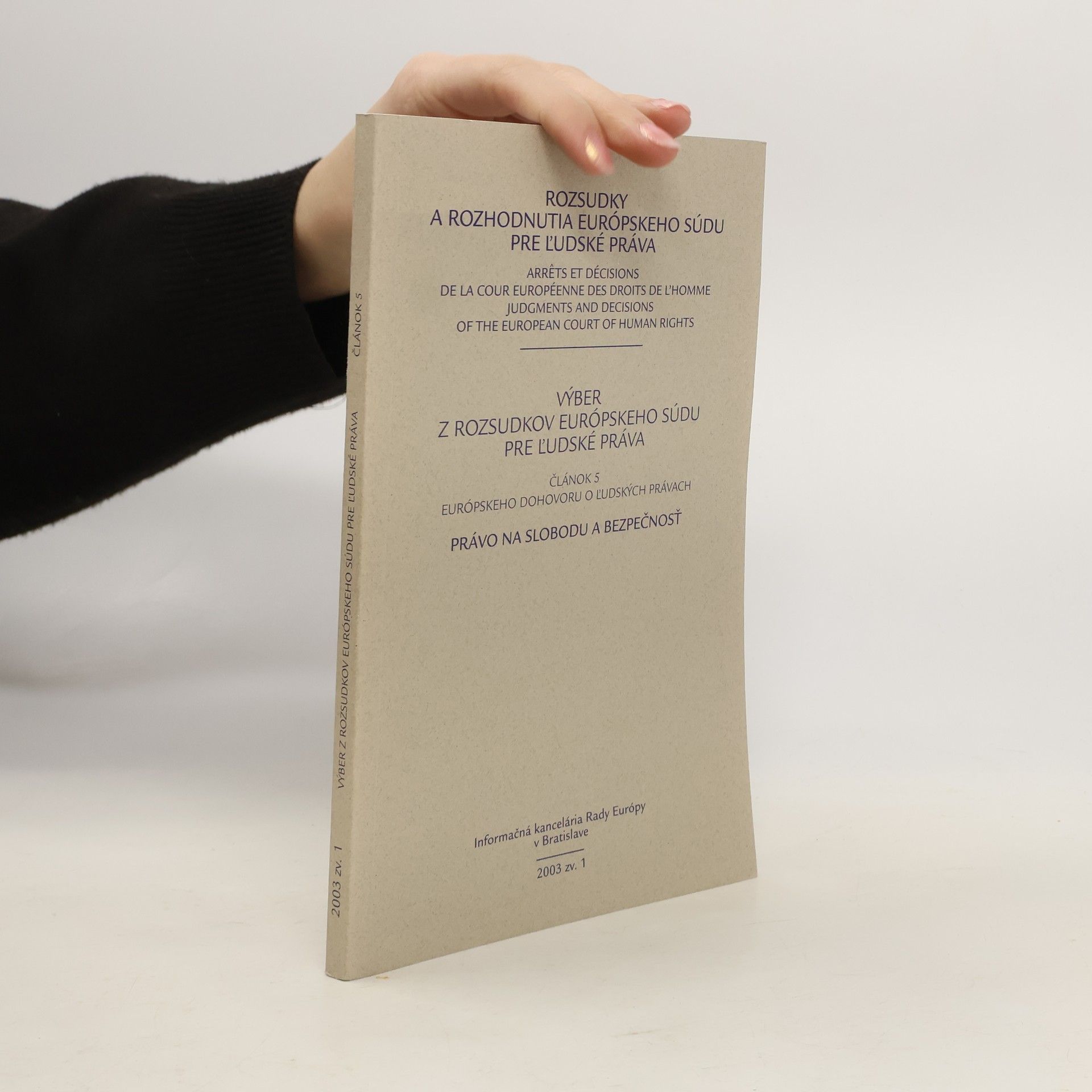 Autorenkollektiv Rozsudky a rozhodnutia Európskeho súdu pre ľudské práva 1