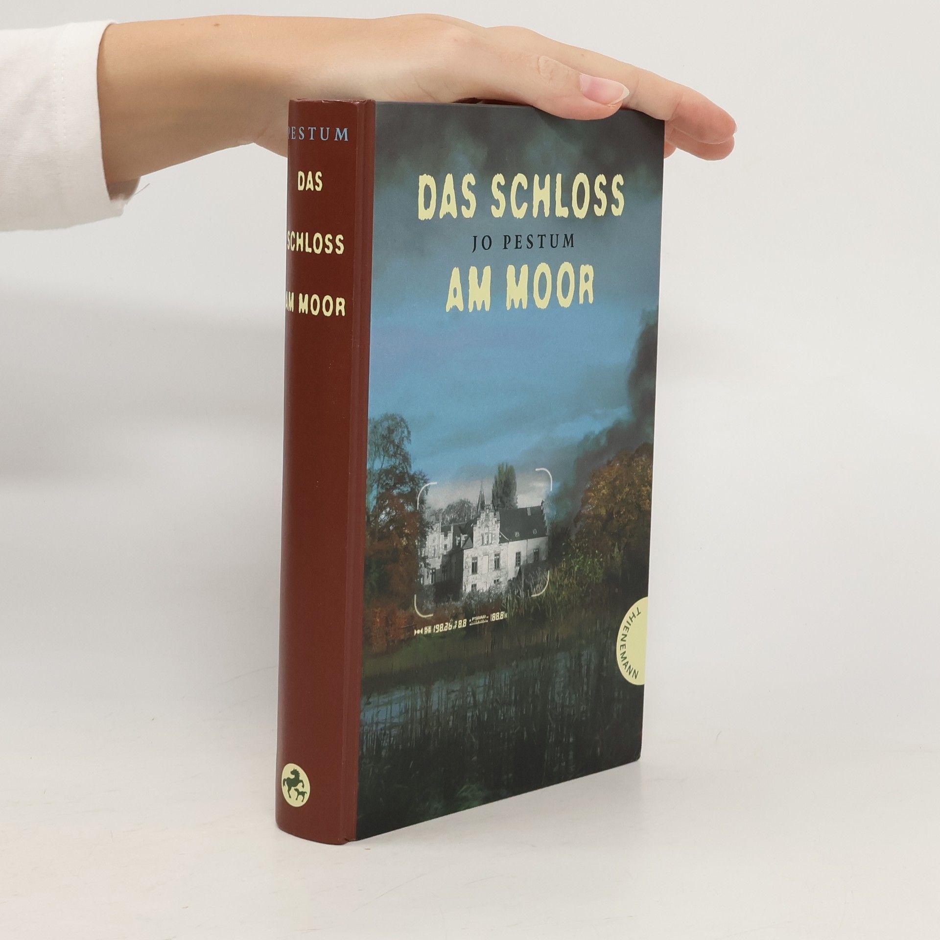 Jo Pestum Das Schloss am Moor