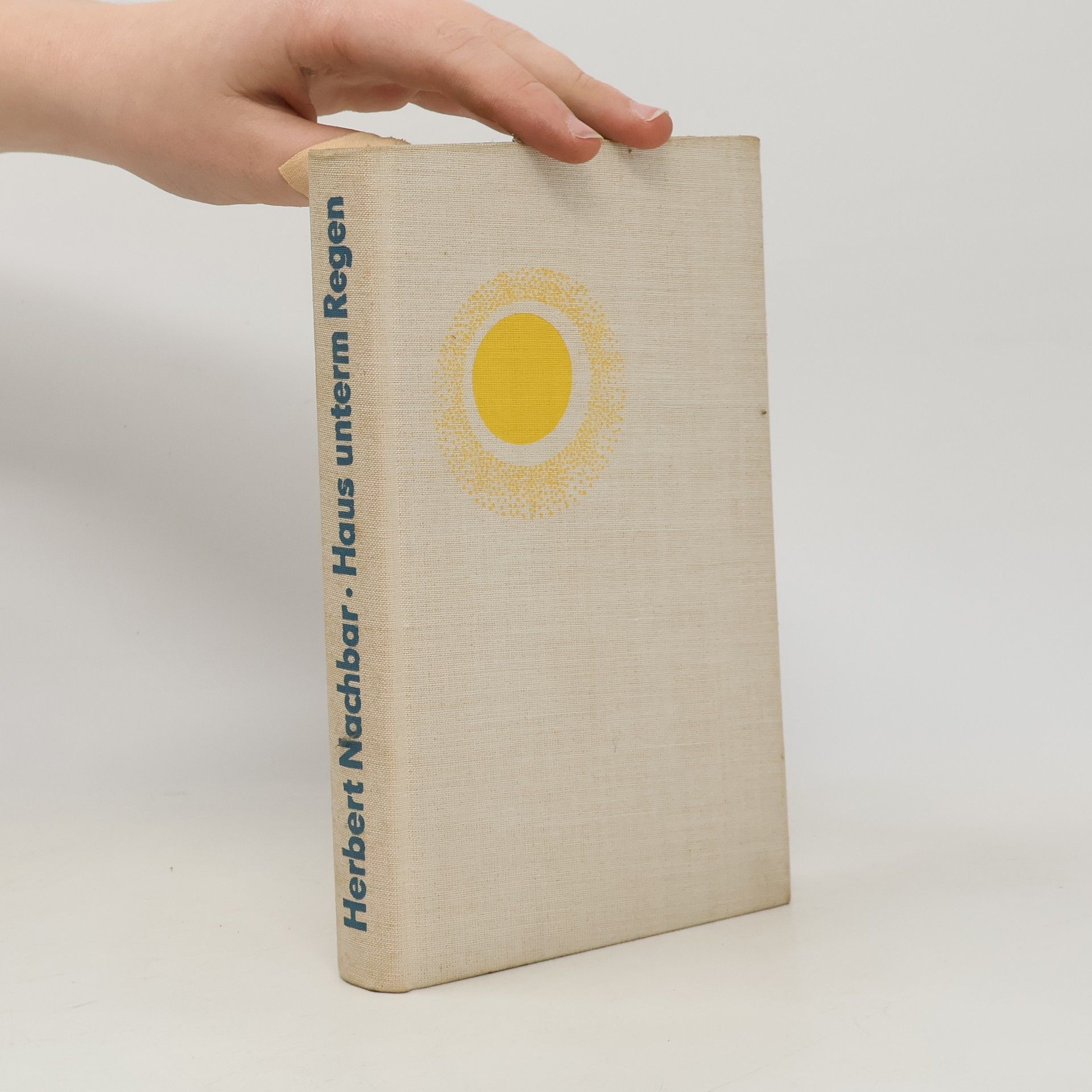 Nachbar Herbert Haus unterm Regen