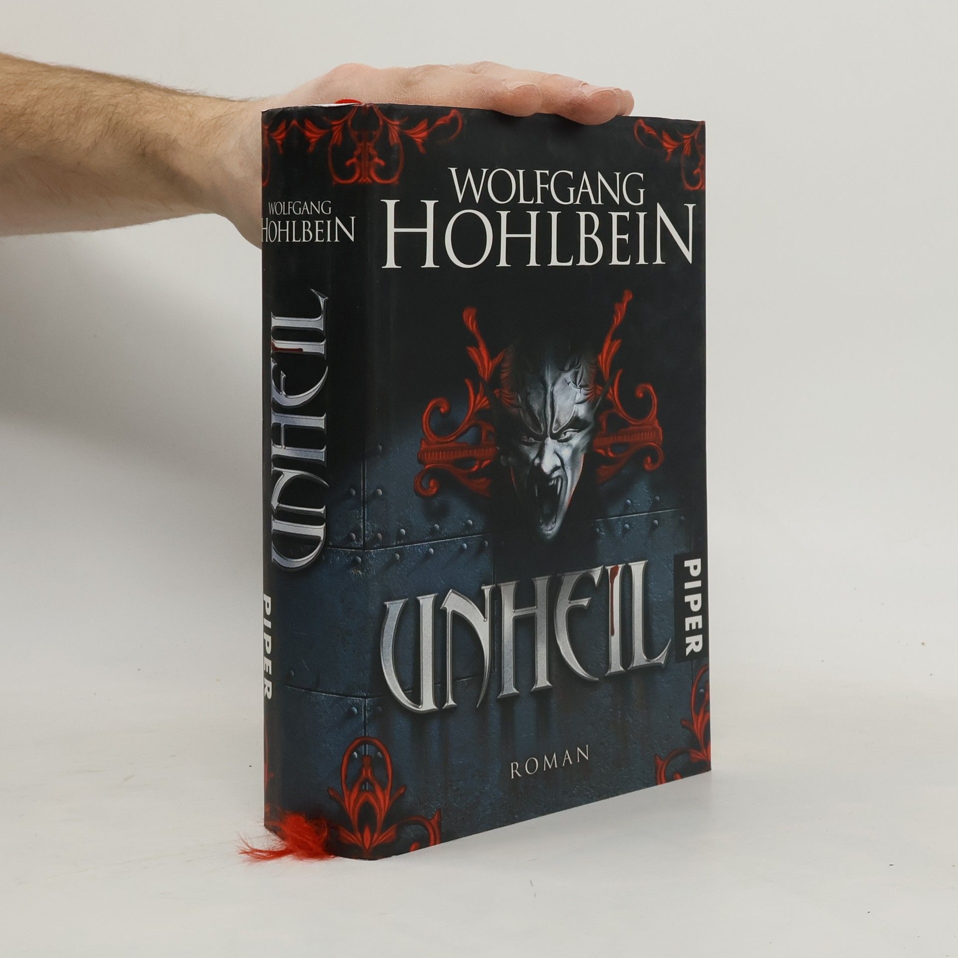 Wolfgang Hohlbein Unheil