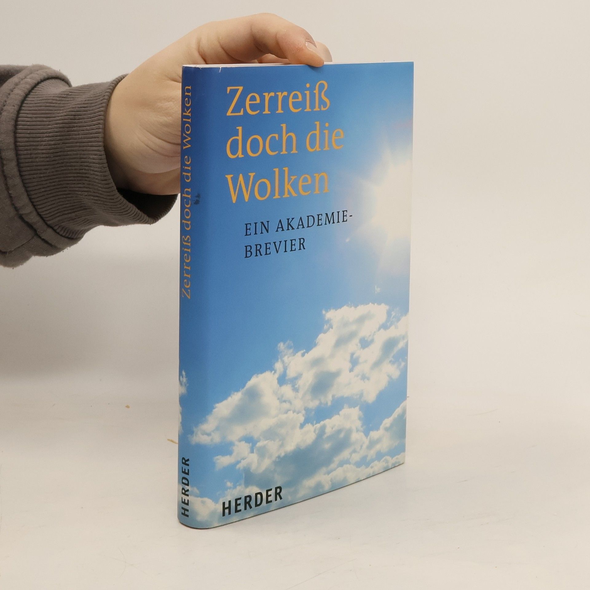 Michael Schlagheck Zerreiß doch die Wolken