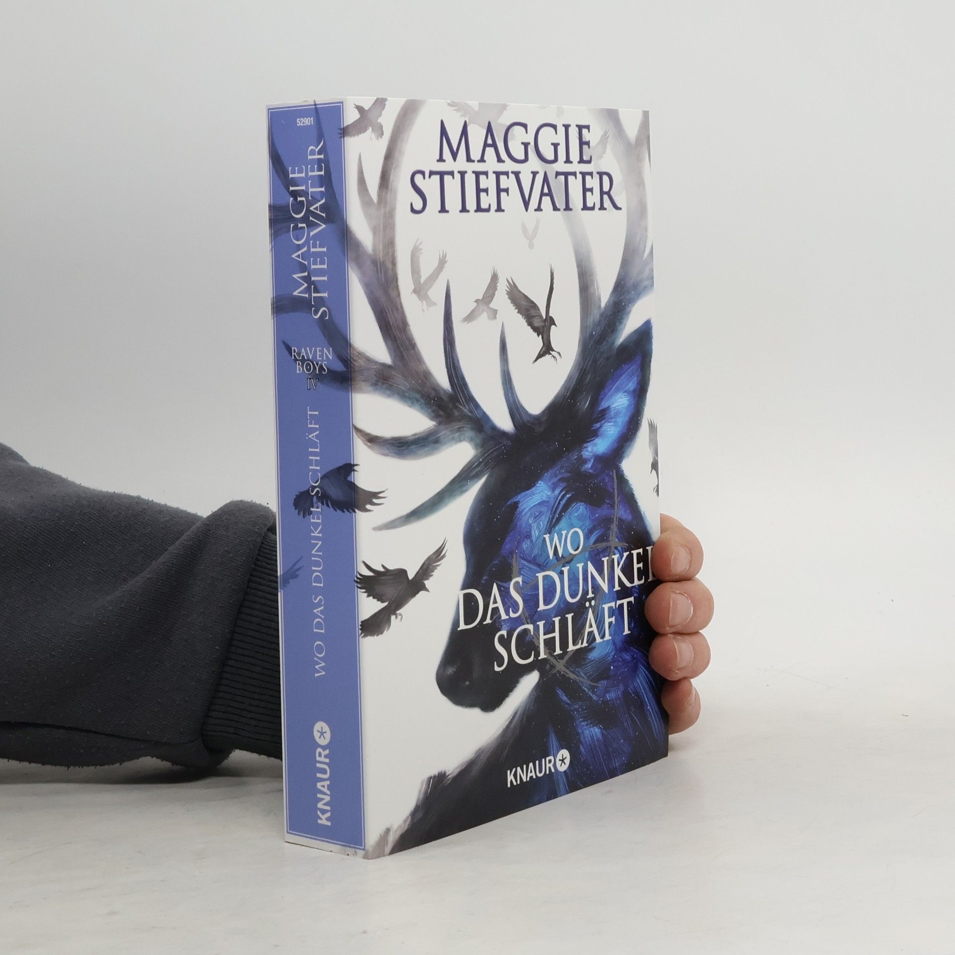 Maggie Stiefvater Wo das Dunkel schläft