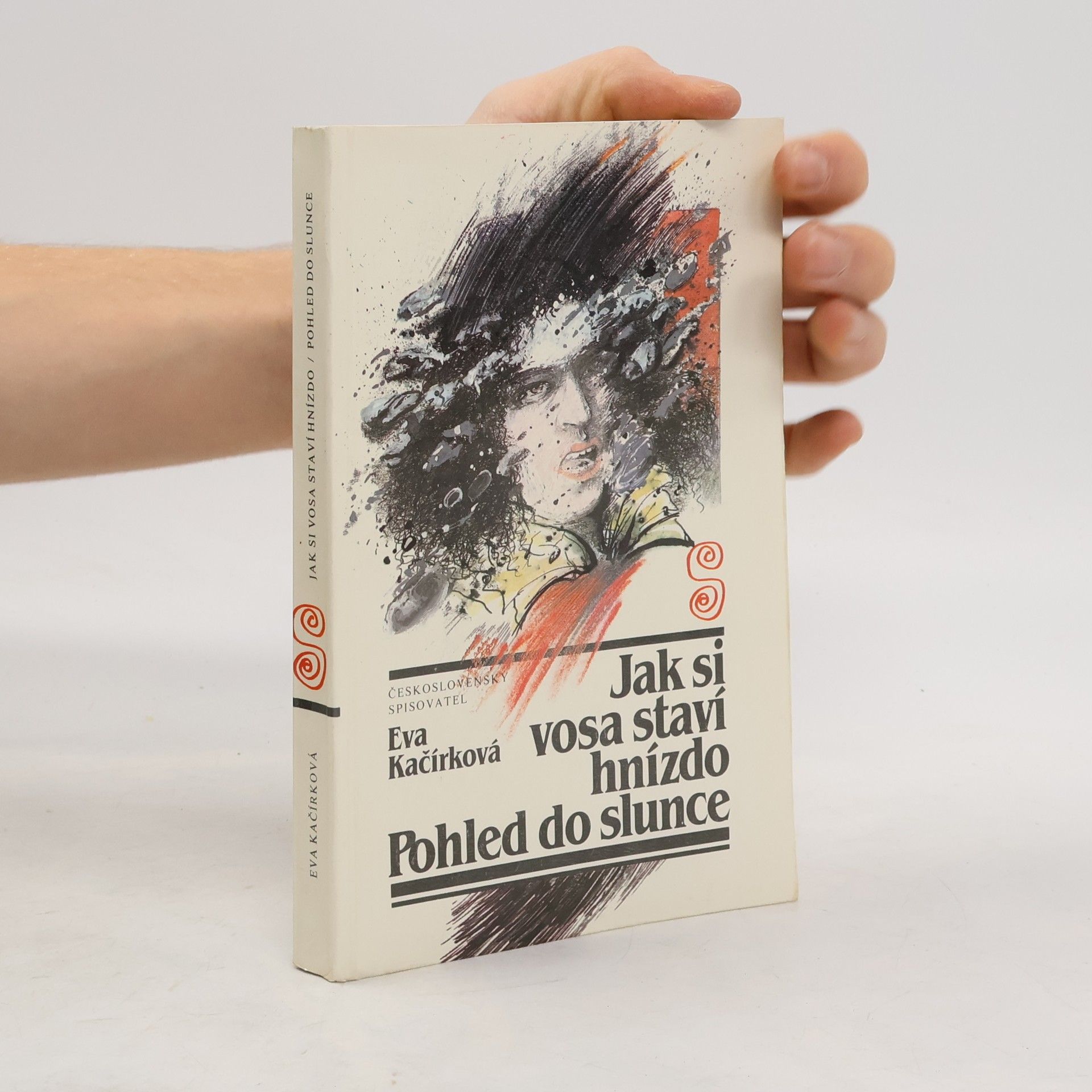 Eva Kačírková Jak si vosa staví hnízdo. Pohled do slunce