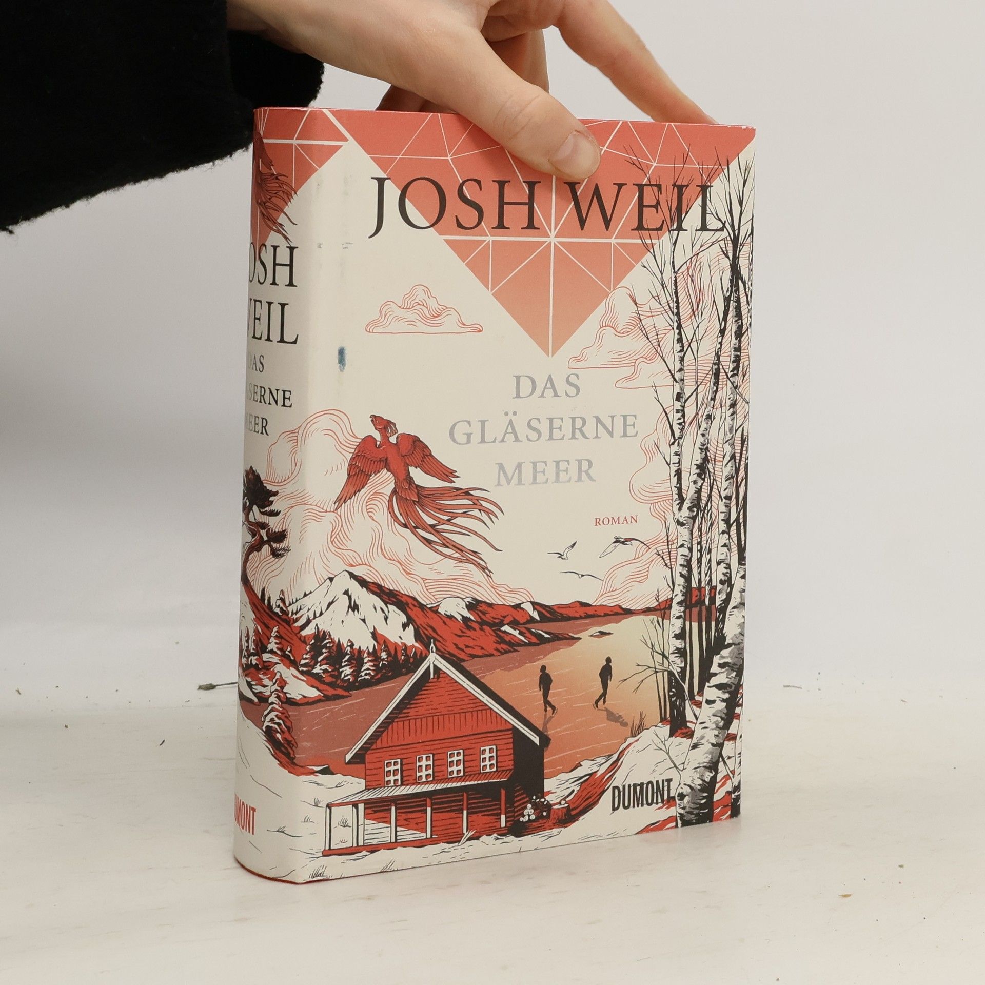 Josh Weil Das gläserne Meer