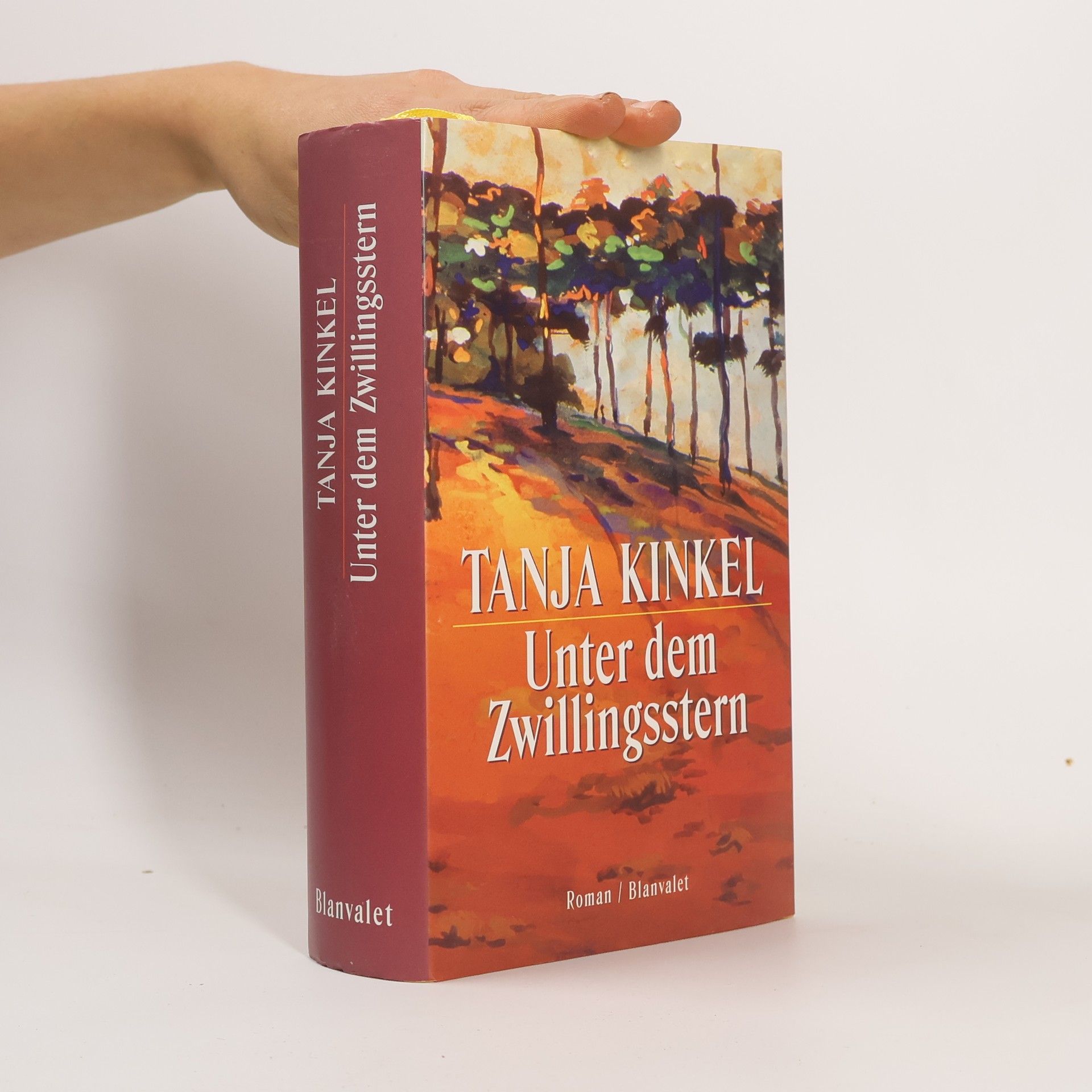 Tanja Kinkel Unter dem Zwillingsstern