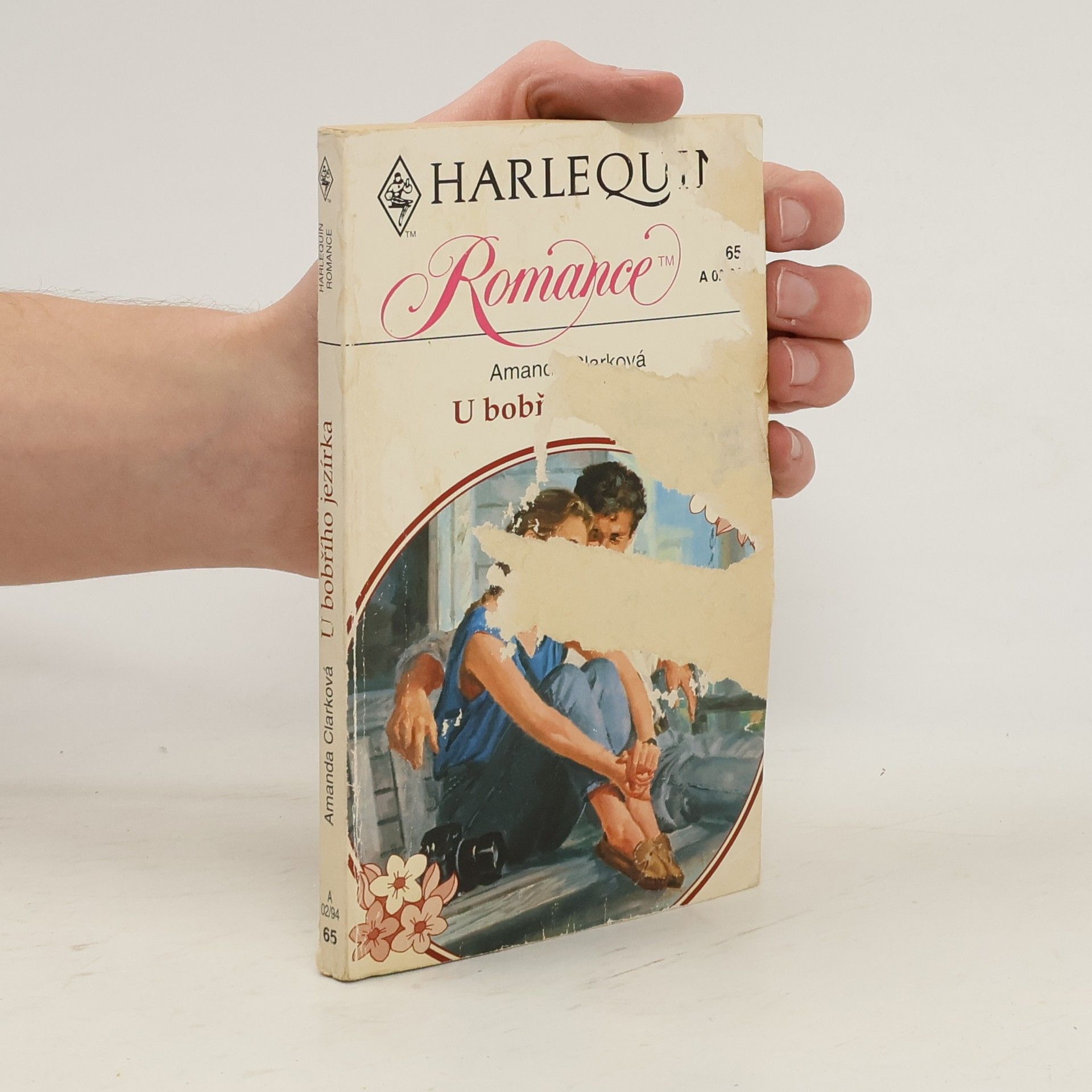 U bobřího jezírka