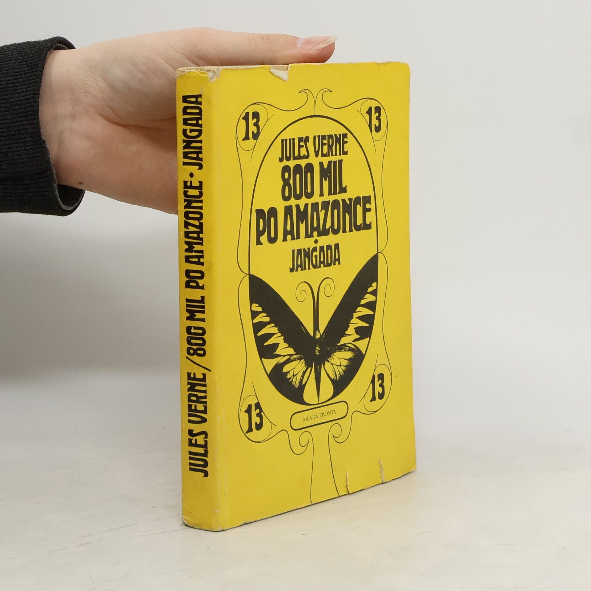 Jules Verne 800 mil po Amazonce. Jangada