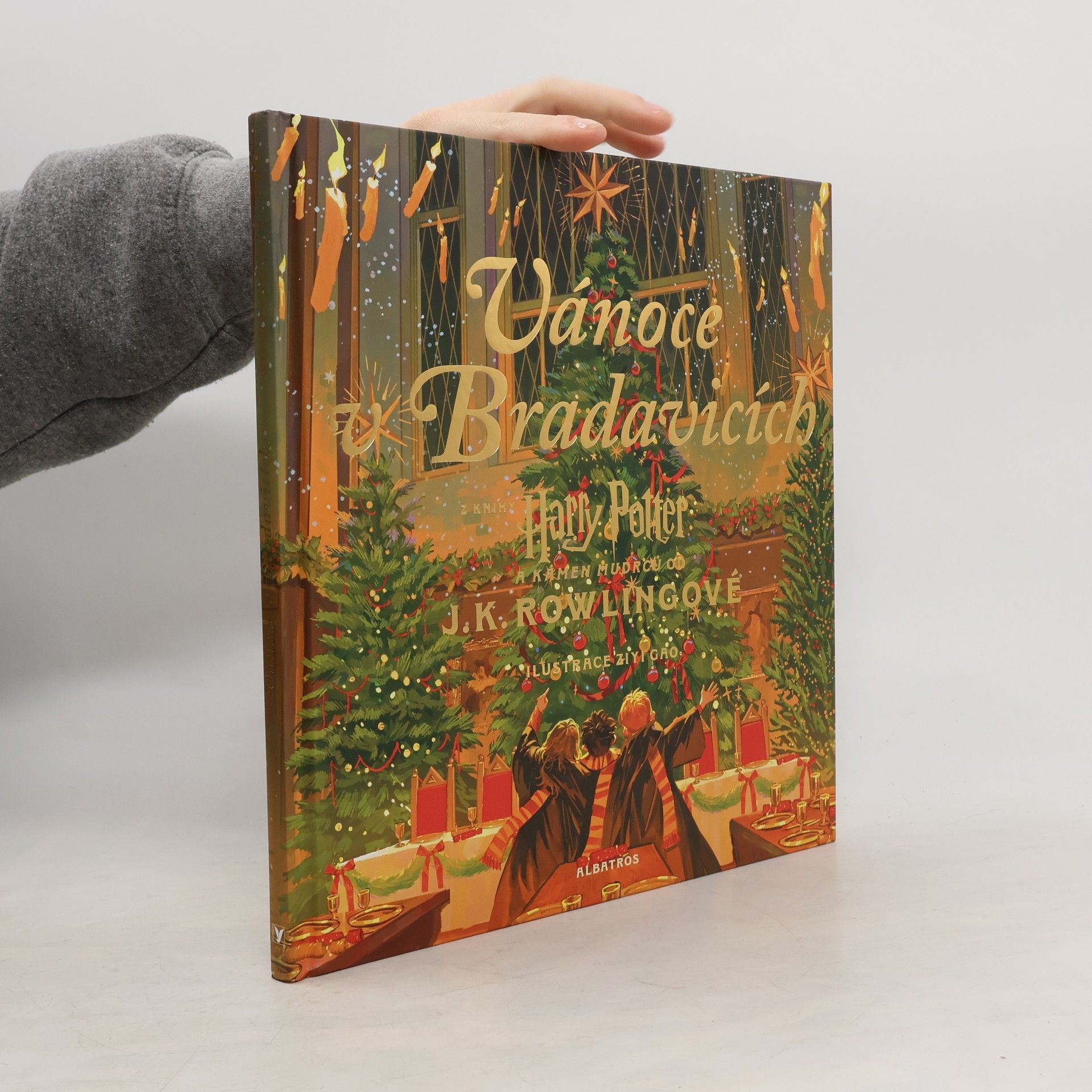 Joanne K. Rowlingová Vánoce v Bradavicích