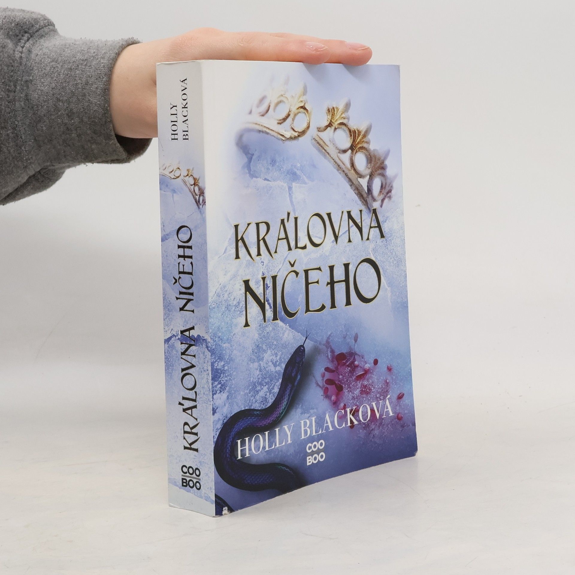 Holly Black Královna ničeho