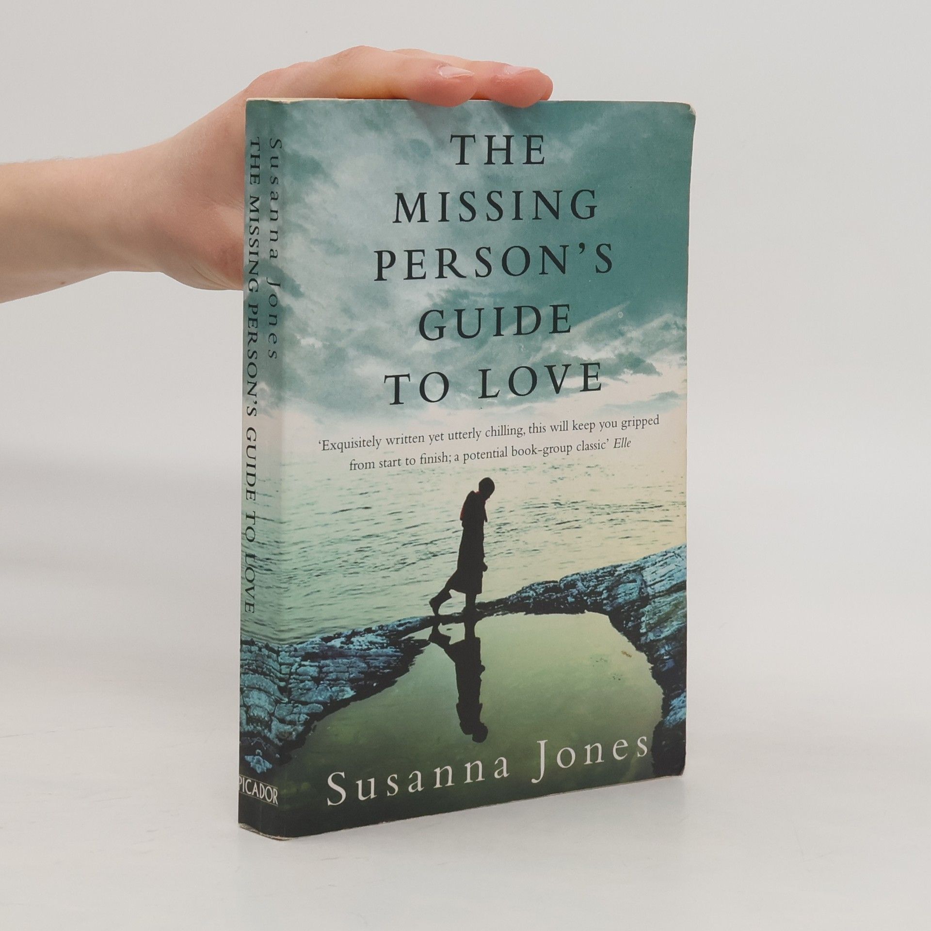 Susanna Jones The Missing Person's Guide to Love