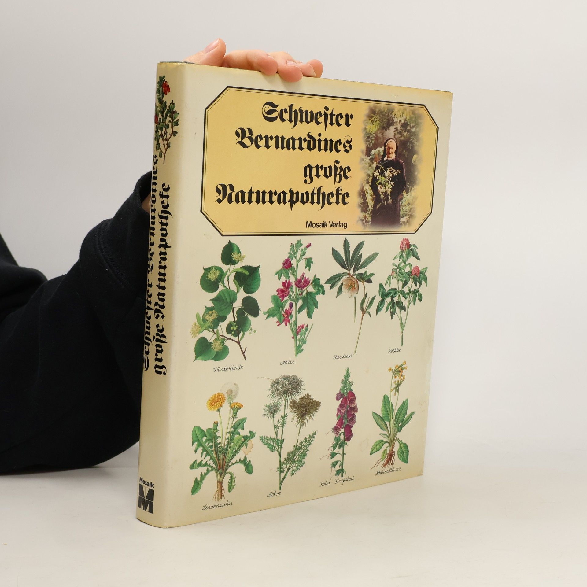 Collectif d'auteurs Schwester Bernardines große Naturapotheke