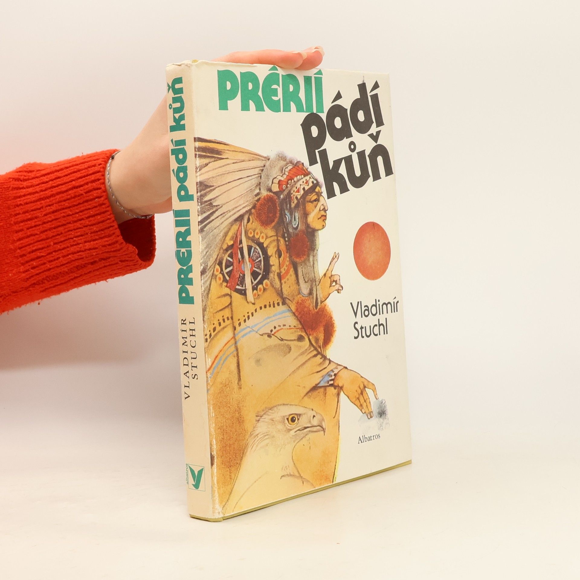 Prérií pádí kůň