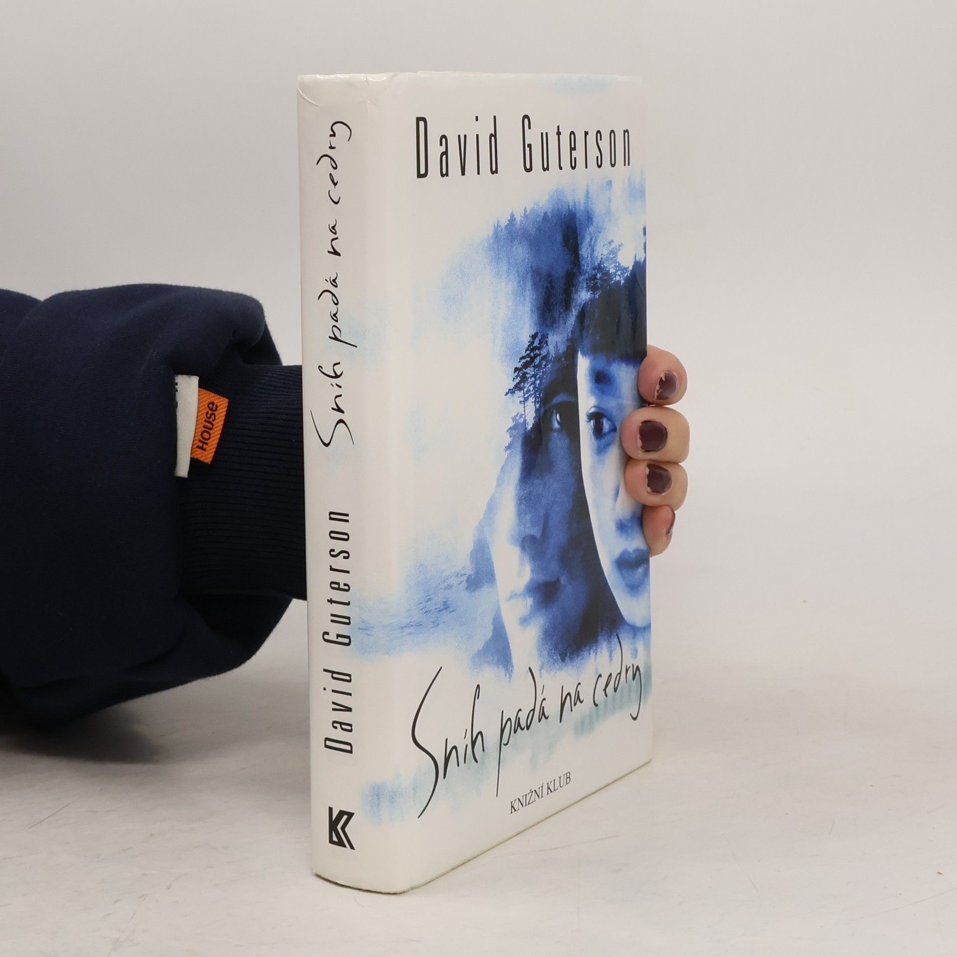 David Guterson Sníh padá na cedry