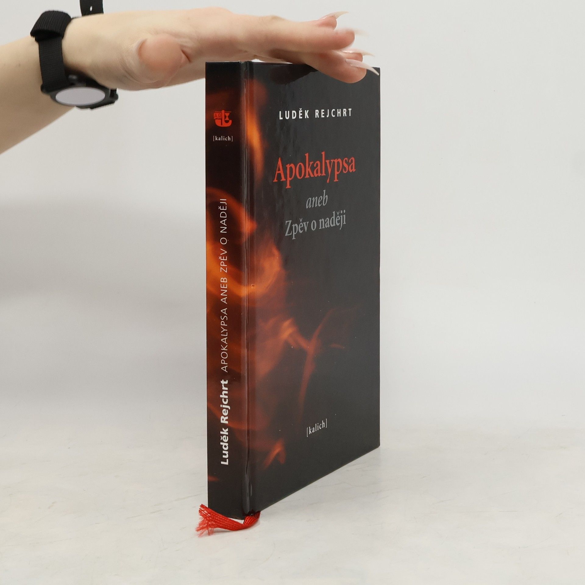 Apokalypsa aneb Zpěv o naději