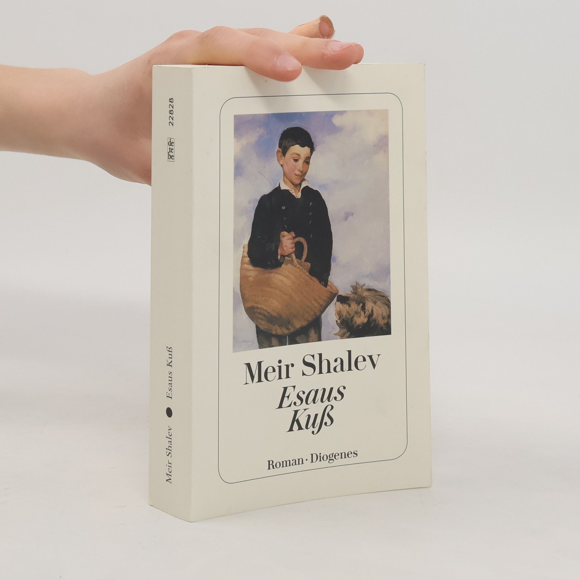 Meʾir Shalev Esaus Kuß