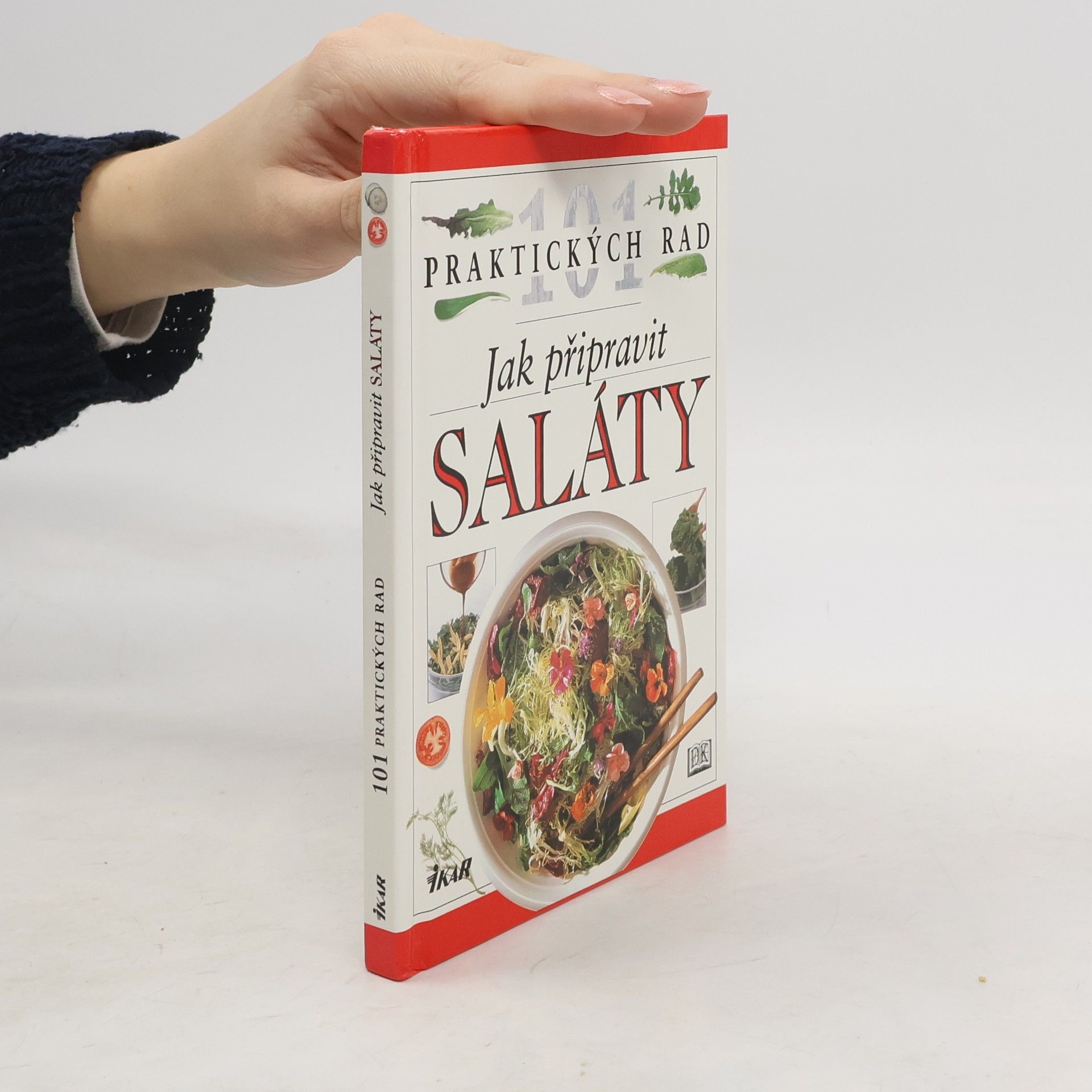 Anne Willan Jak připravit saláty